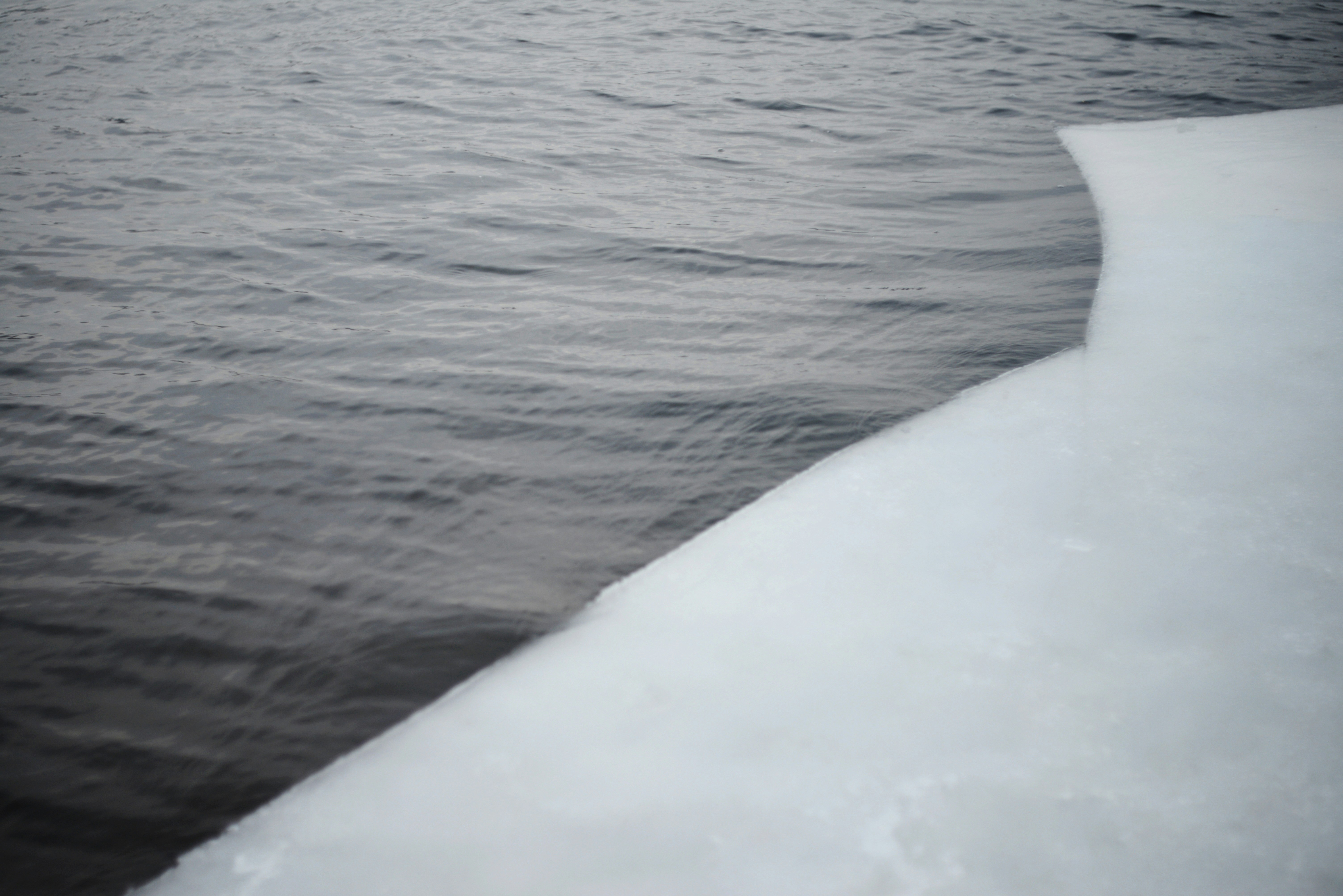 Photo by cherstve_pechivo