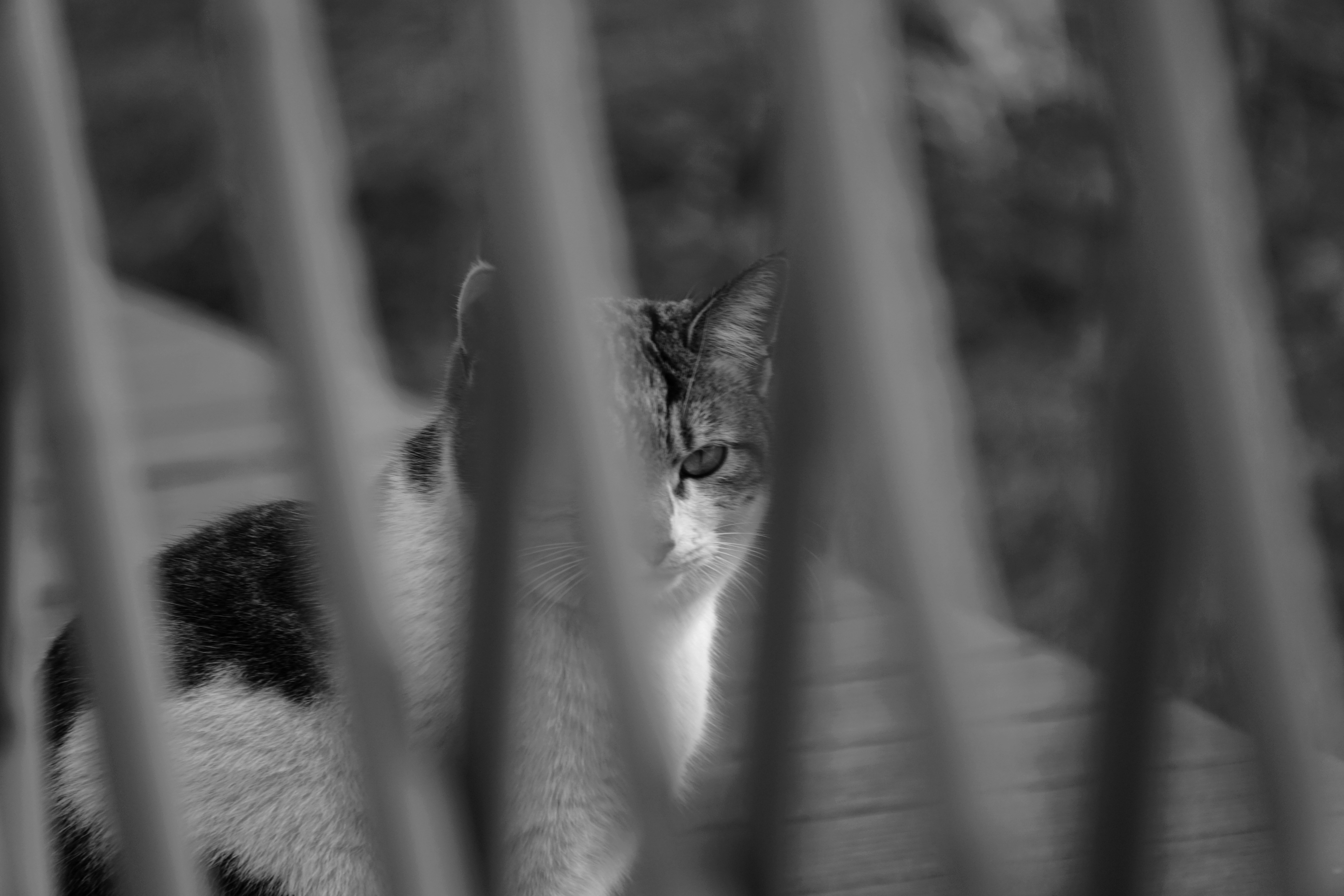 Photo by tristan_333