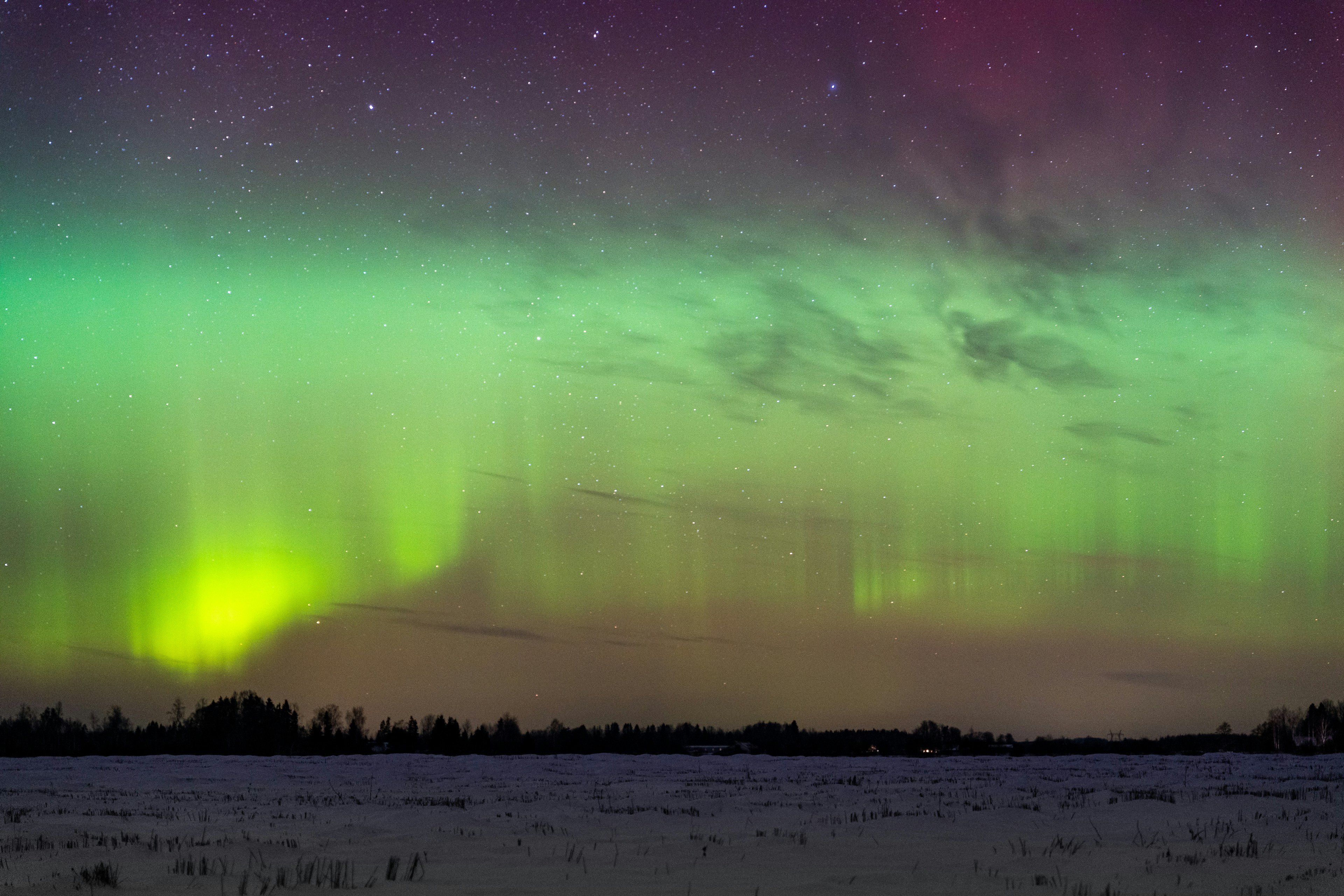 Green aurora borealis dances in the starry night sky.