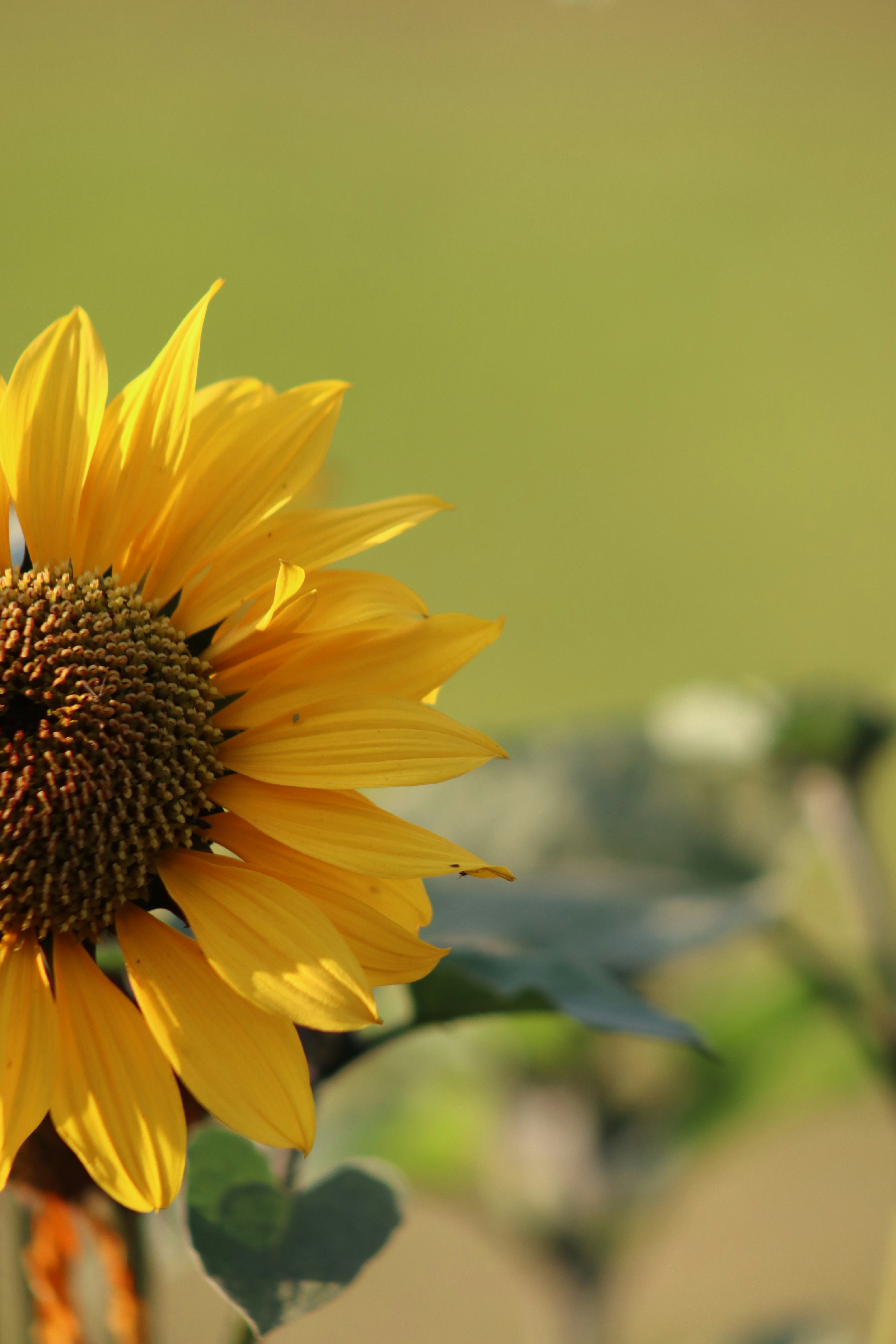 Photo by drphotographer152