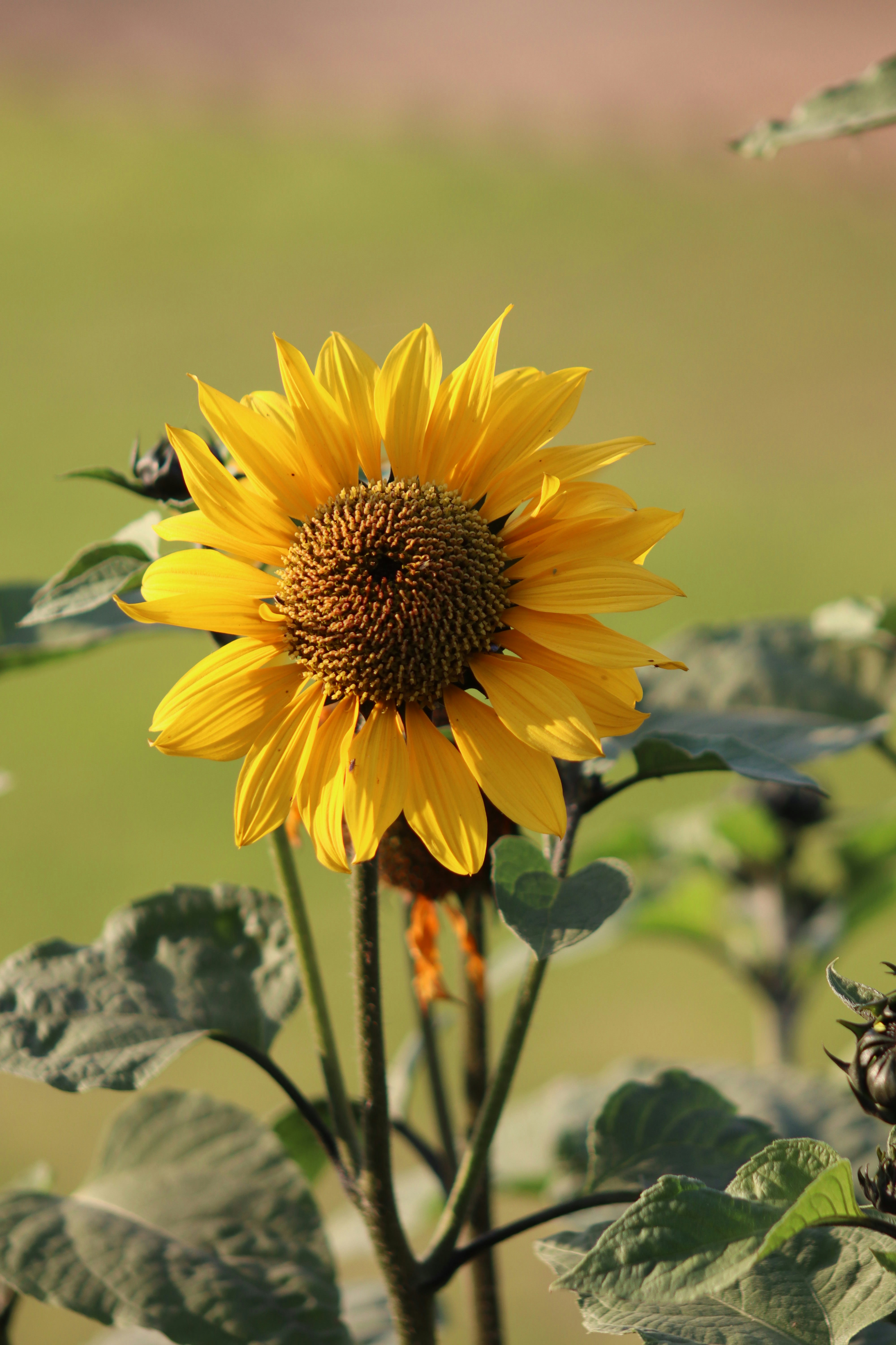 Photo by drphotographer152