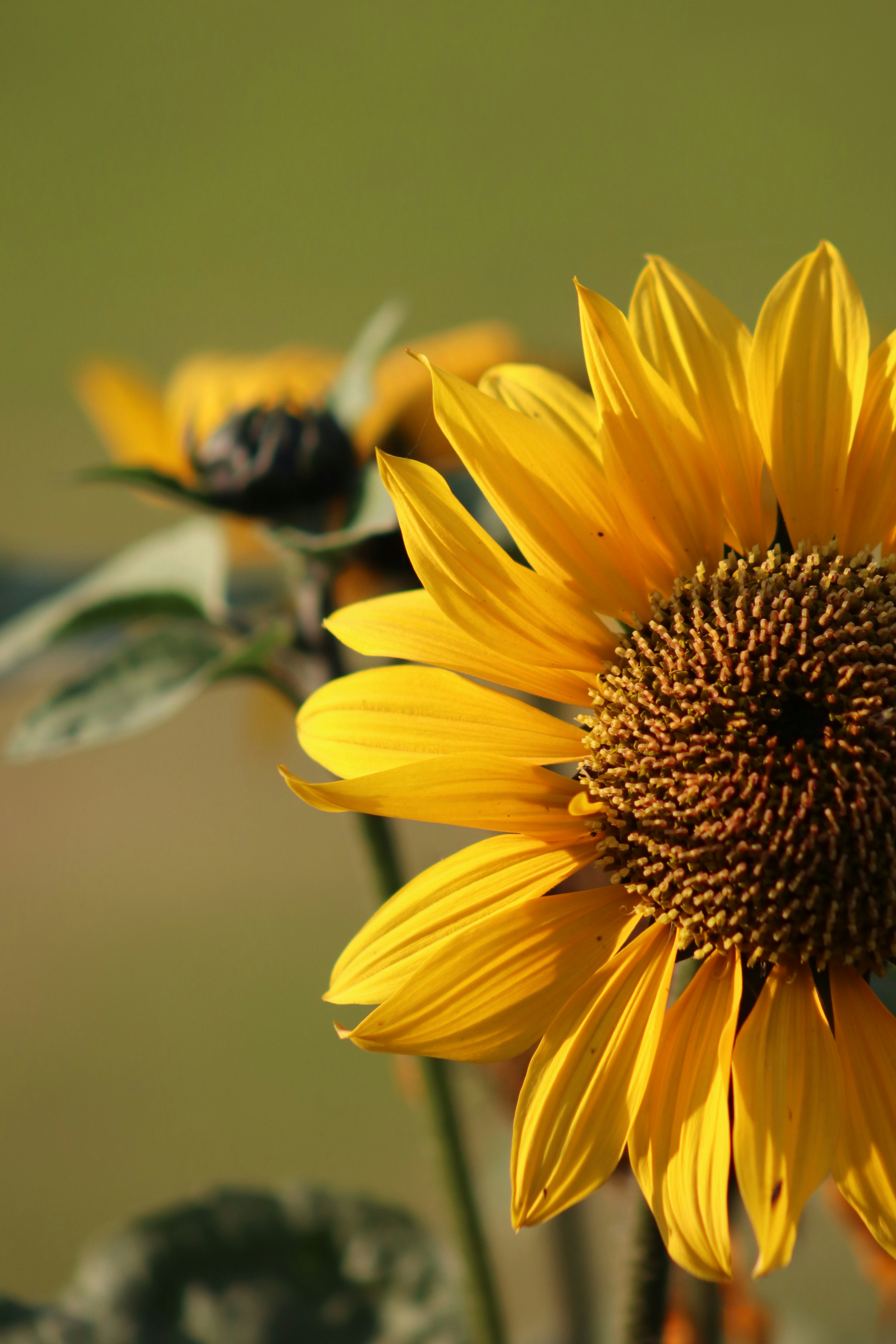 Photo by drphotographer152