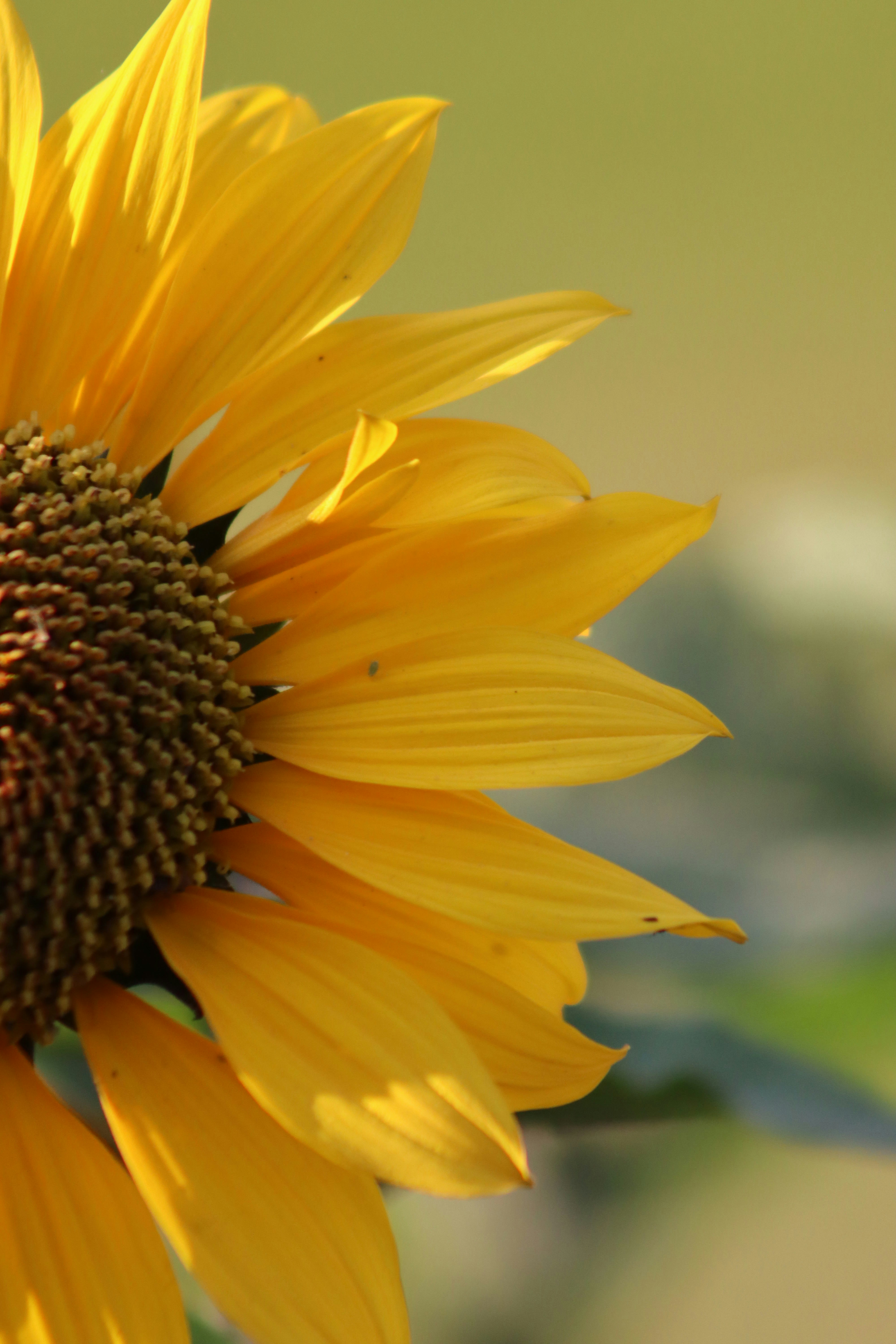 Photo by drphotographer152