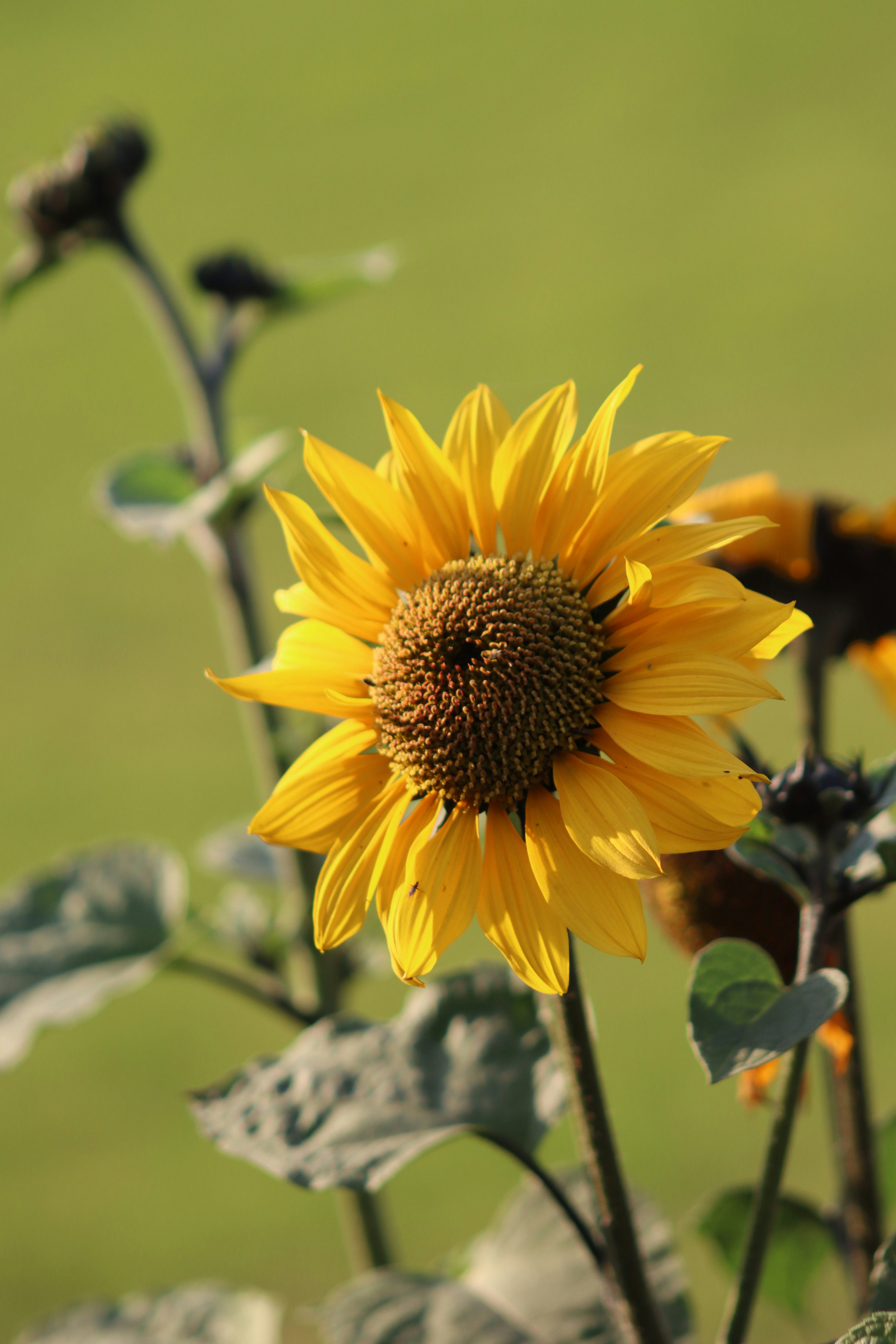 Photo by drphotographer152