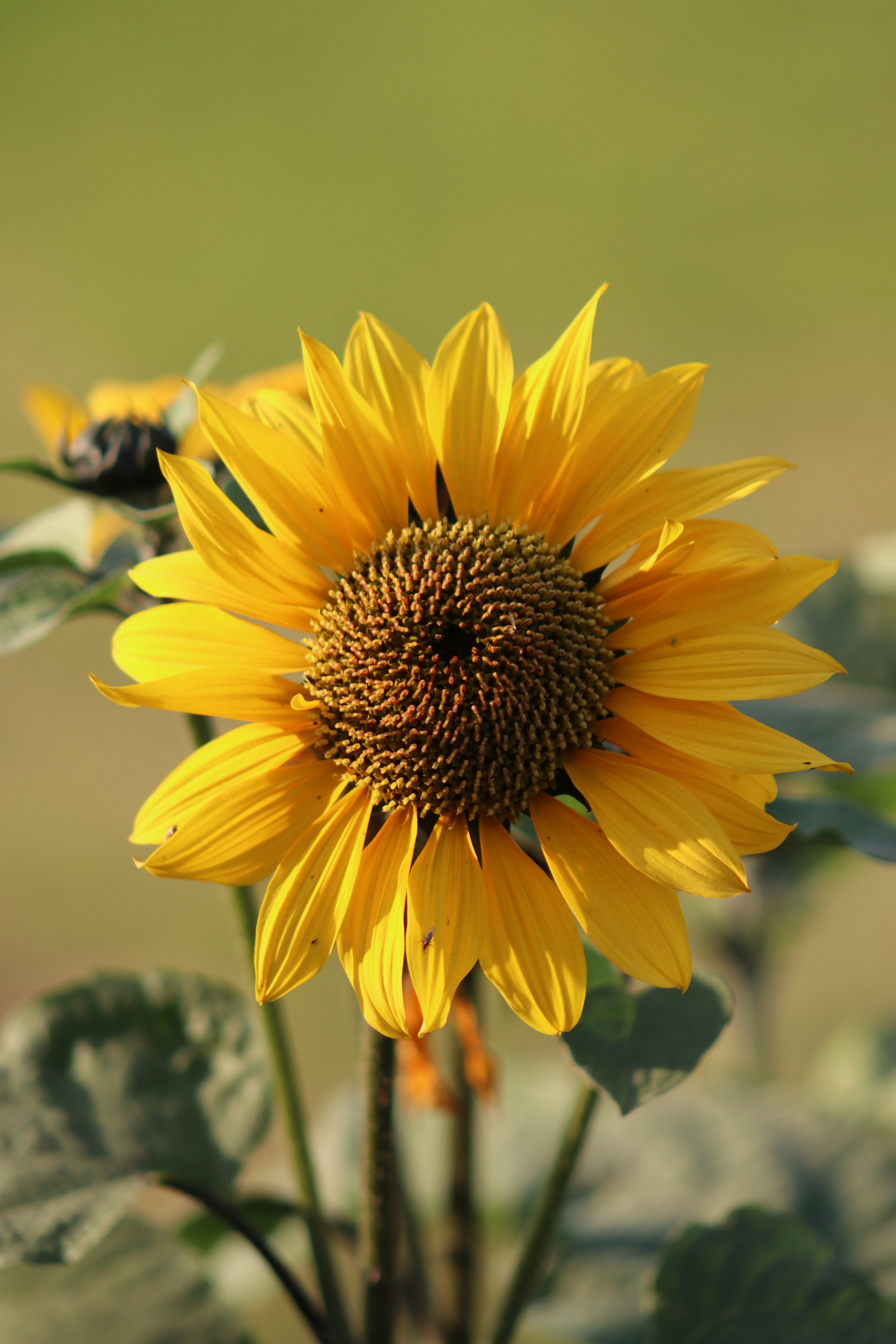 Photo by drphotographer152