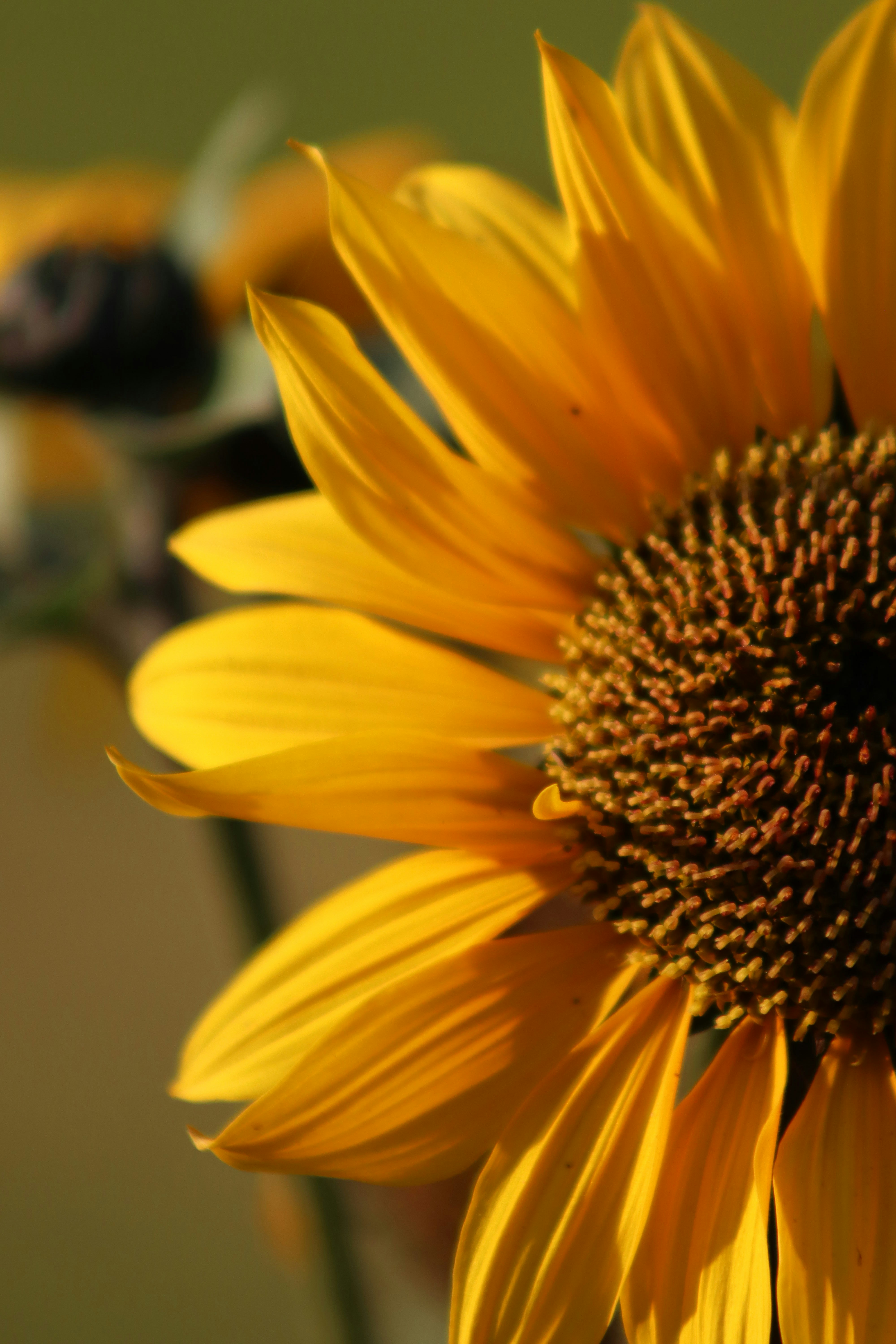 Photo by drphotographer152