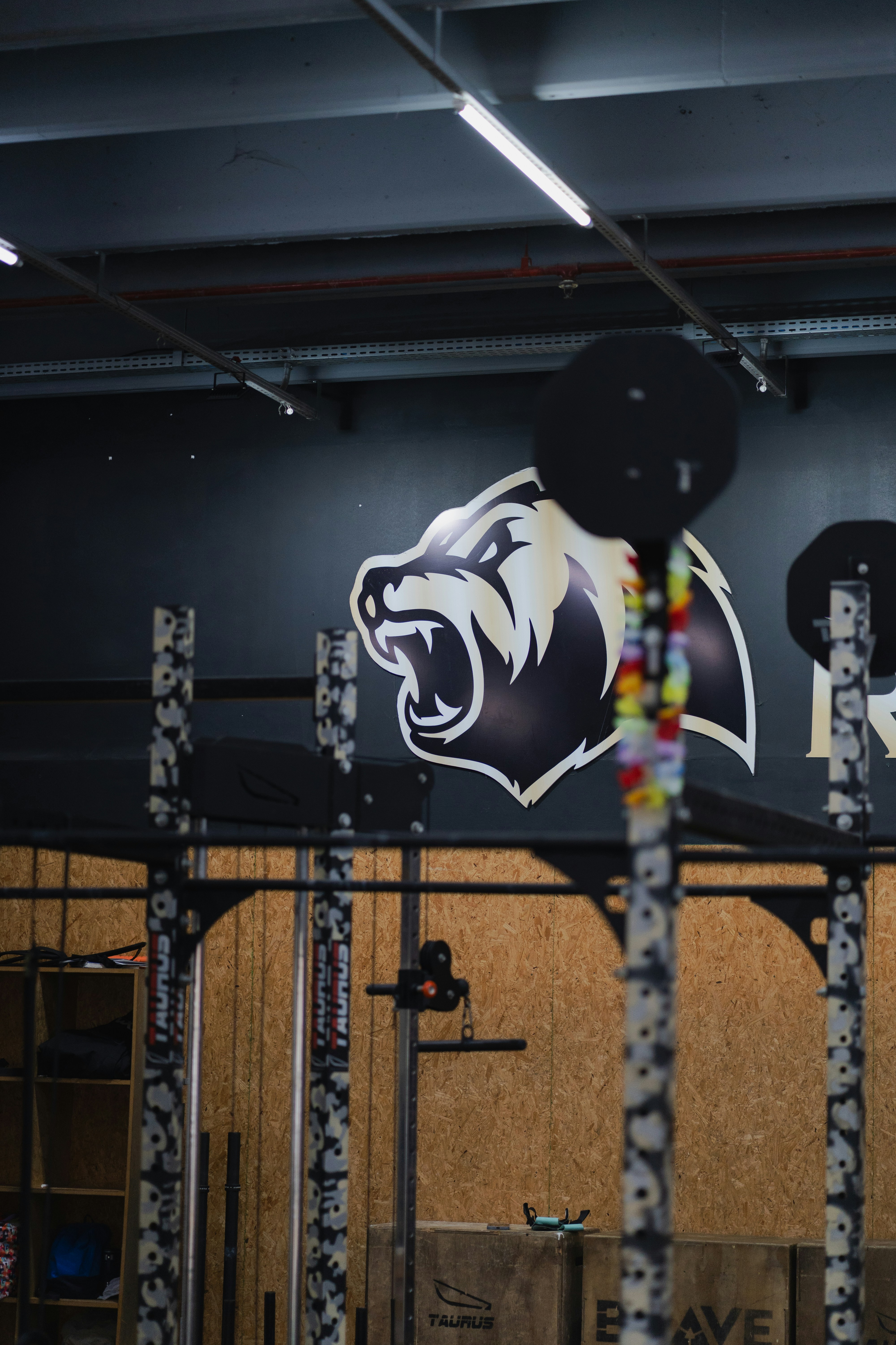 Equipamiento de gimnasio con el logo de un oso en la pared