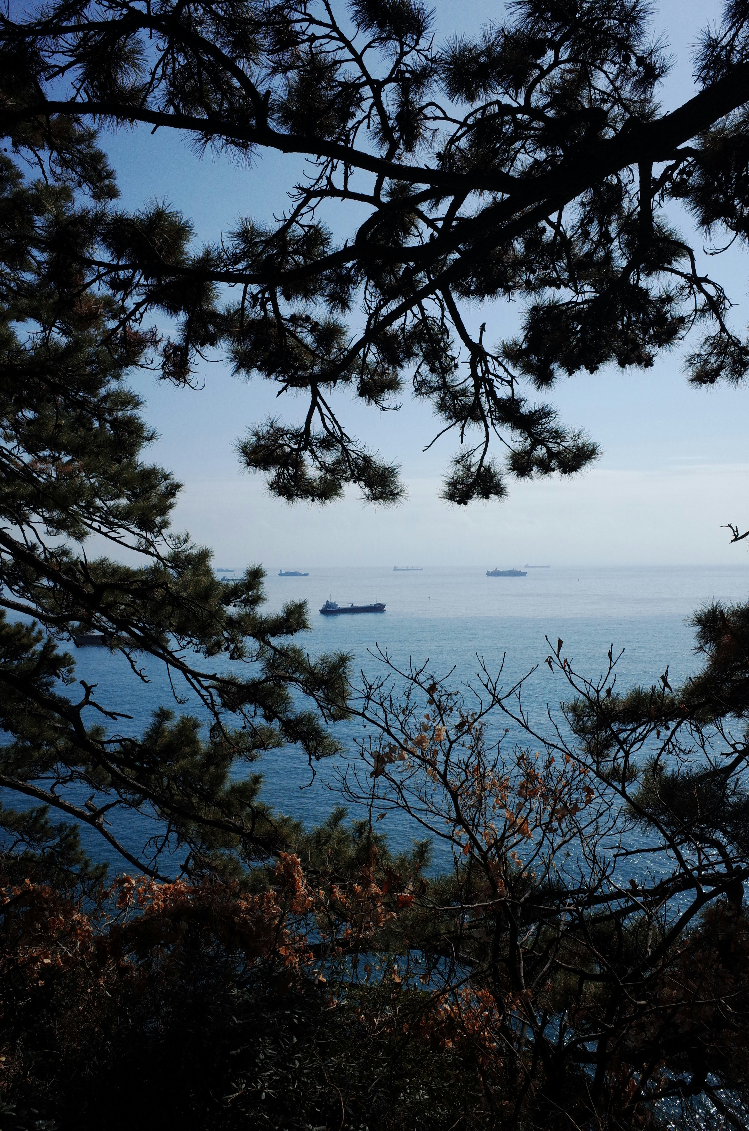What is the best day trip from Busan for first-time visitors?