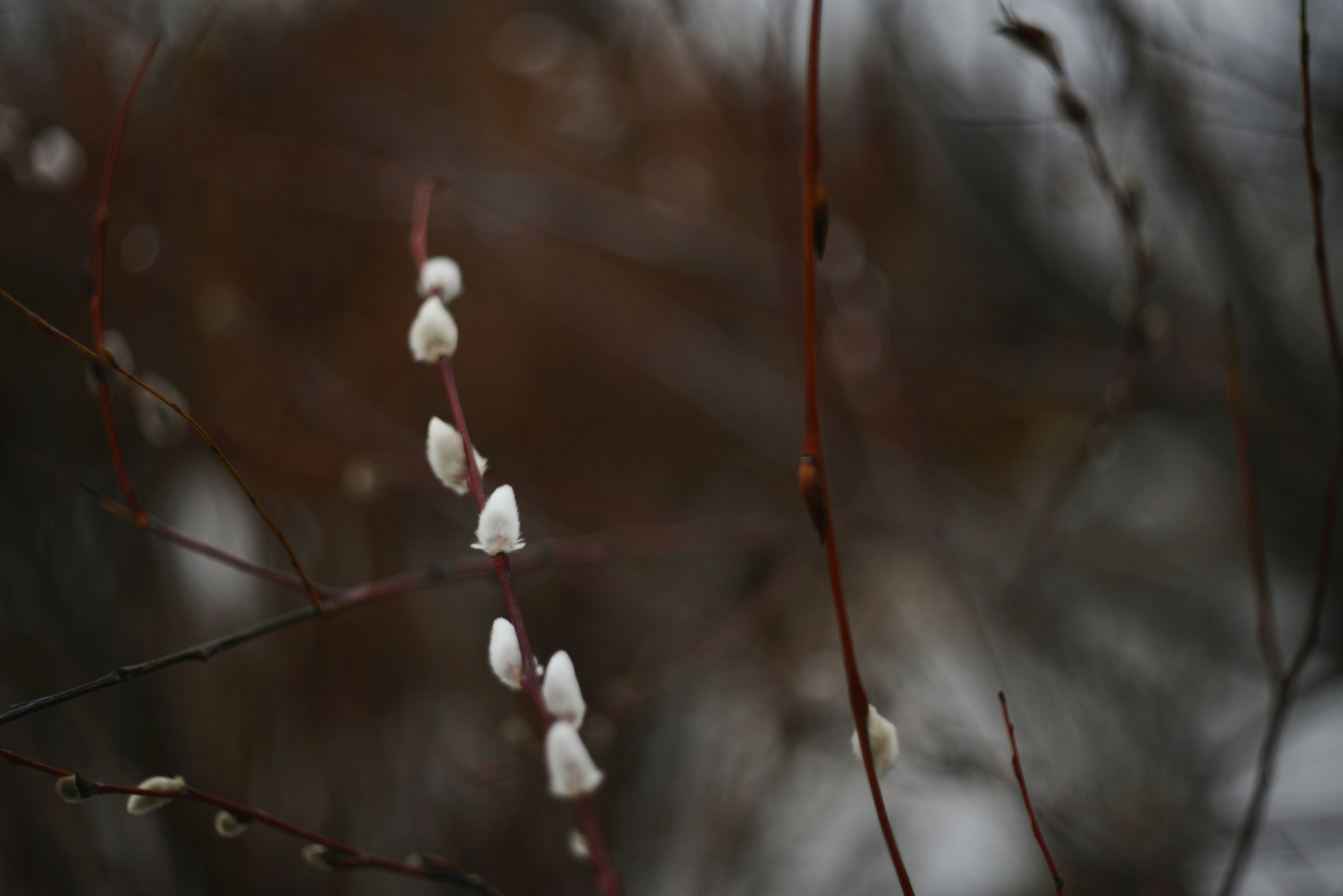 Photo by cherstve_pechivo