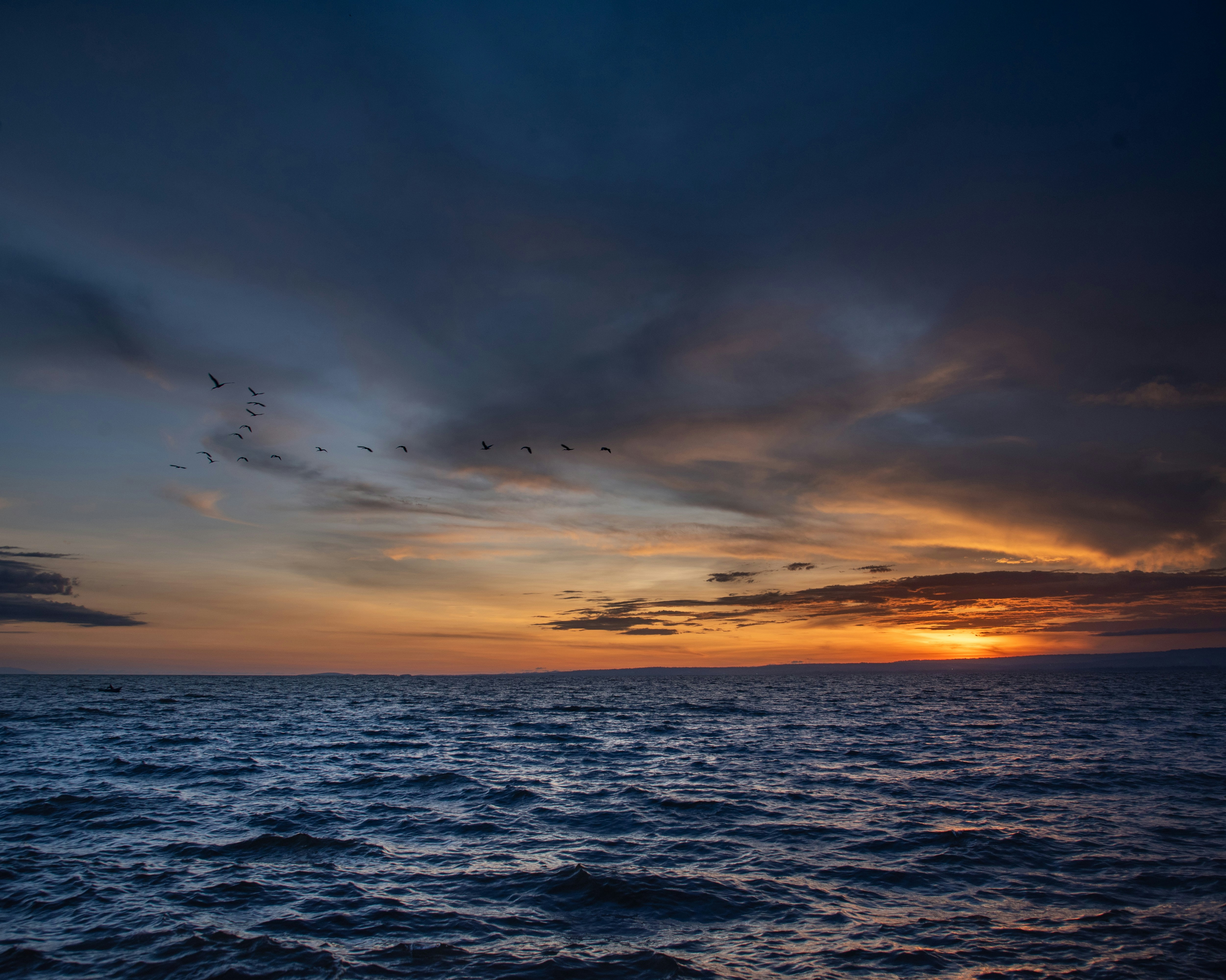 Photo by ojijohammilton