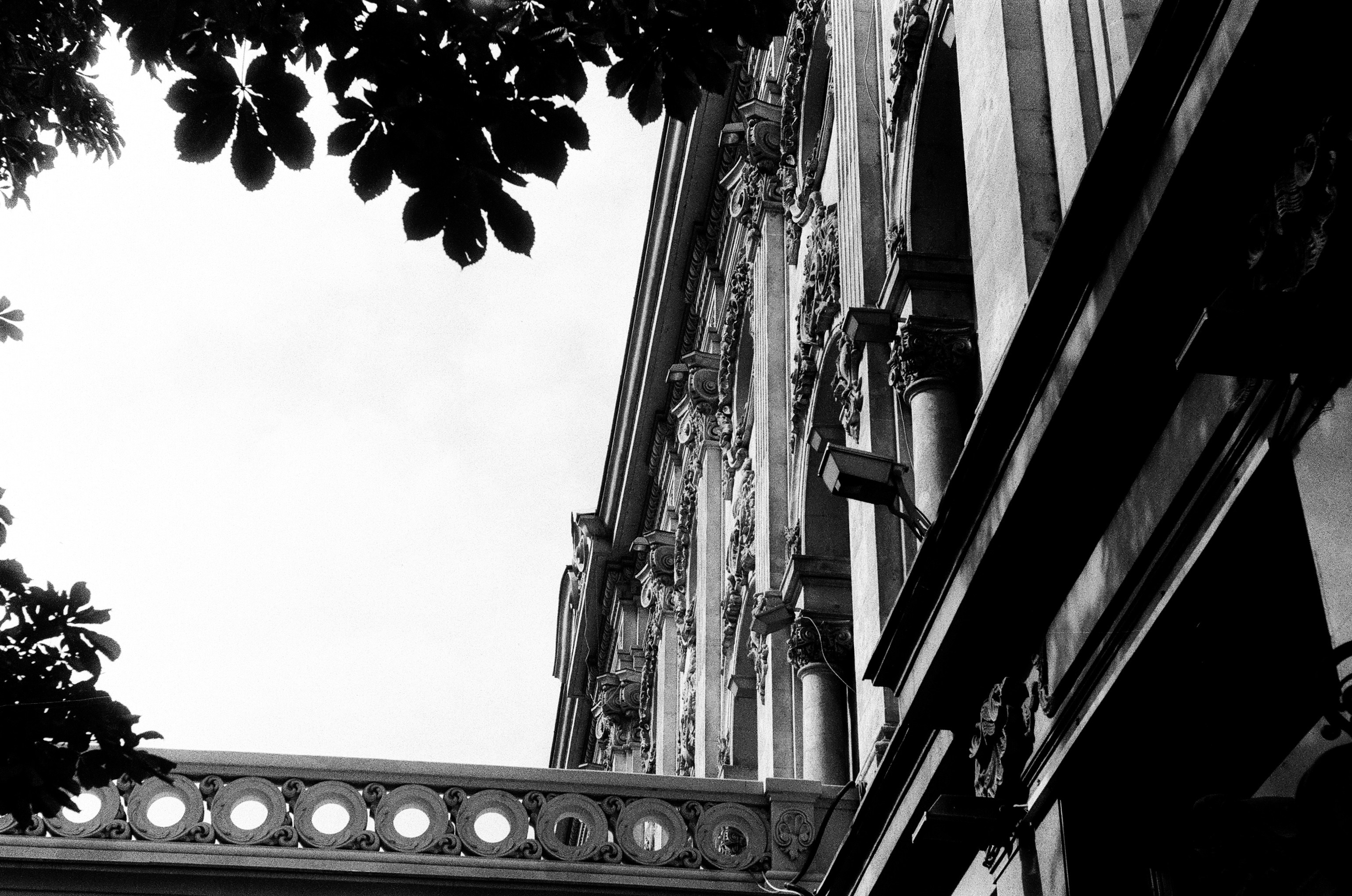 Photo by amberfoxfilm