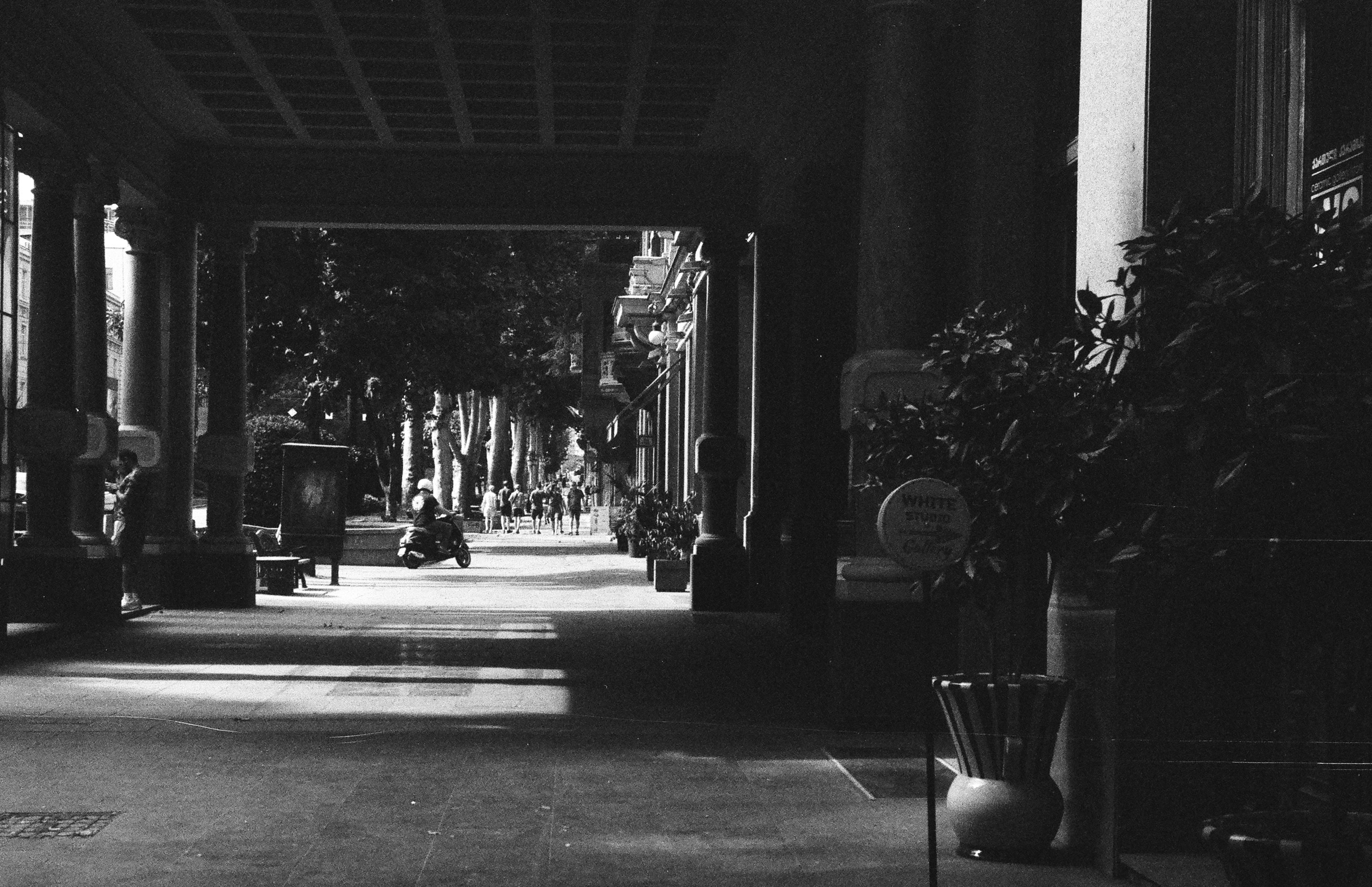 Photo by amberfoxfilm