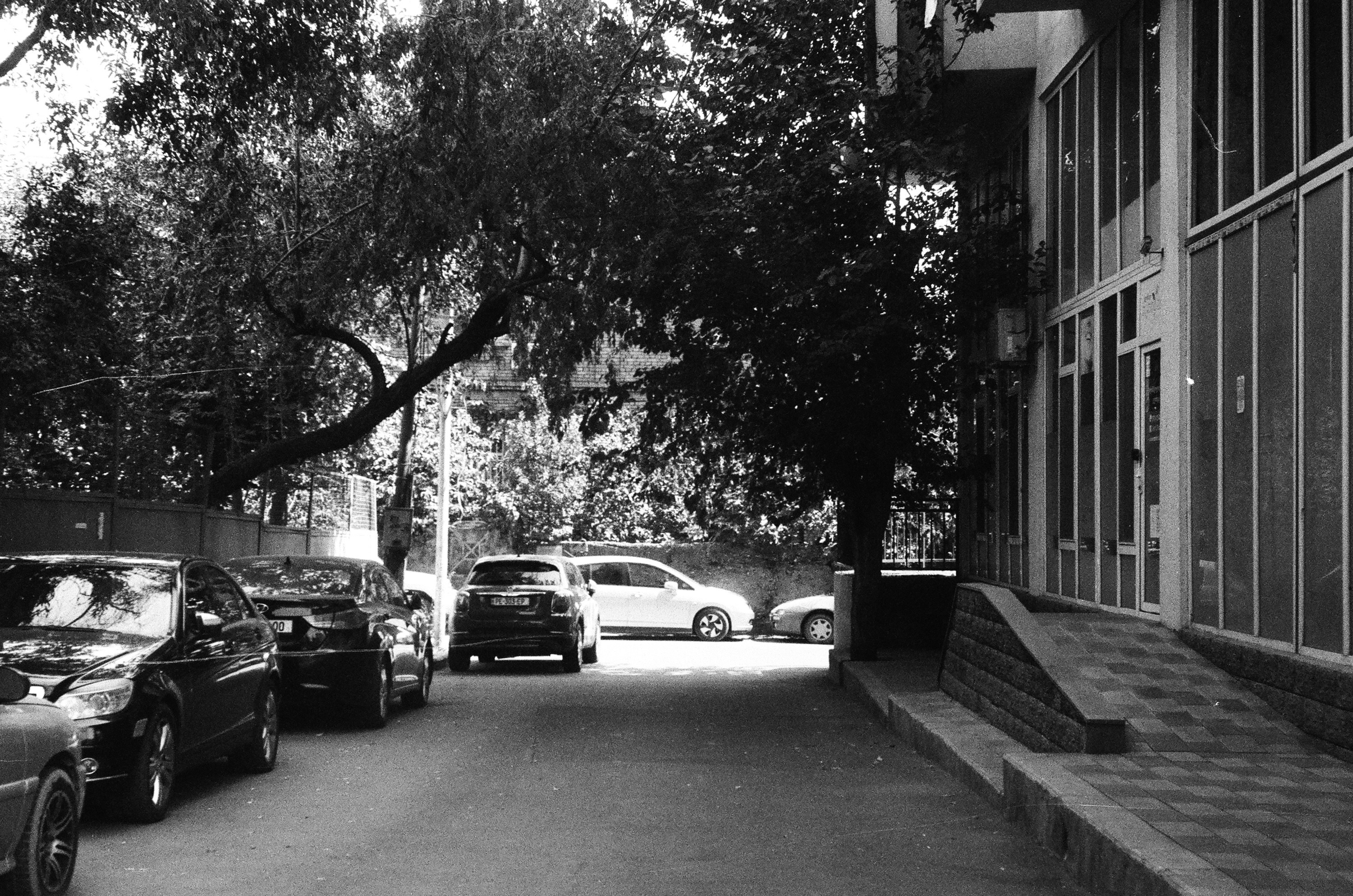 Photo by amberfoxfilm