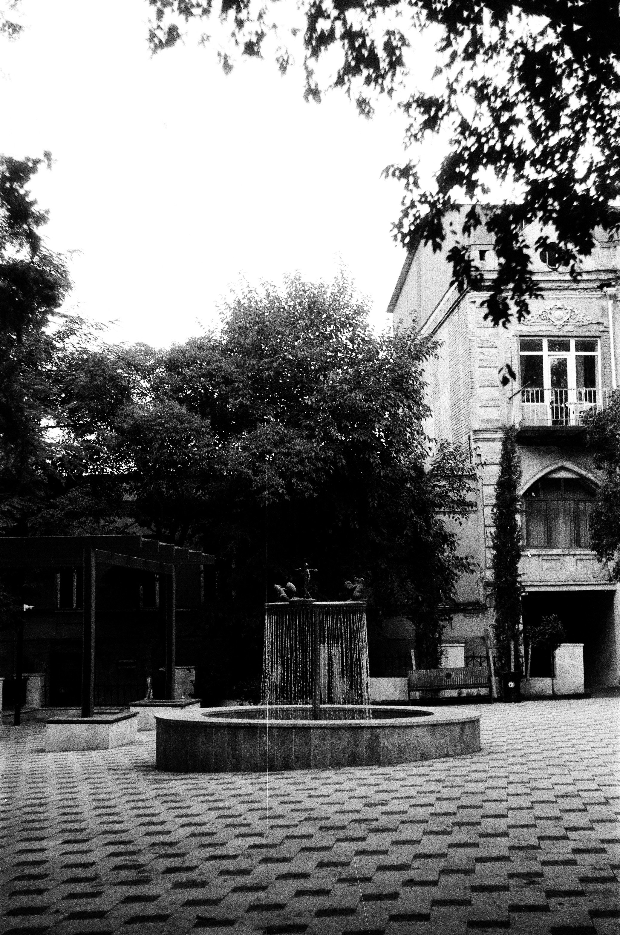 Photo by amberfoxfilm