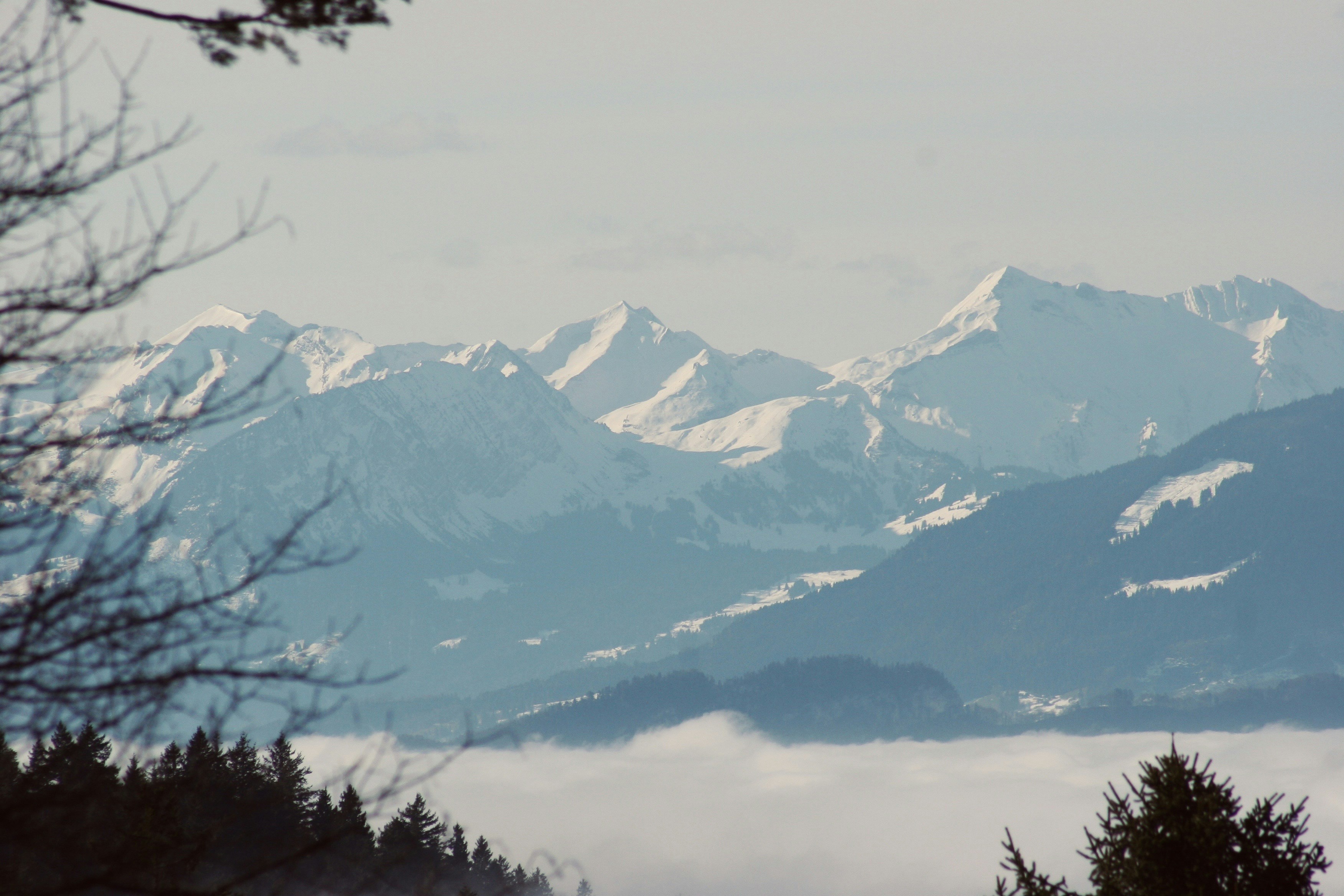 Photo by stevenvandeursen