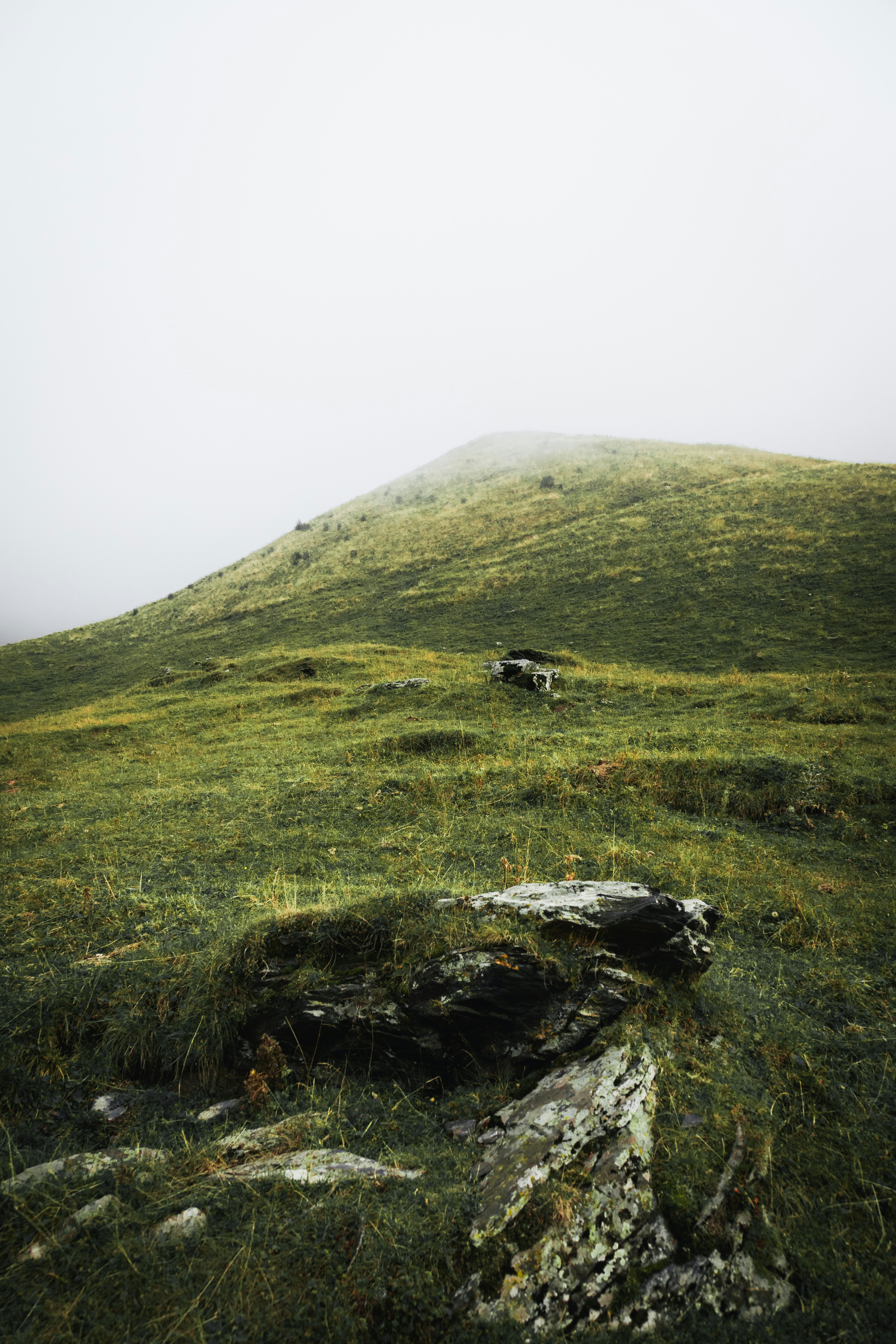 Photo by nikita_pishchugin