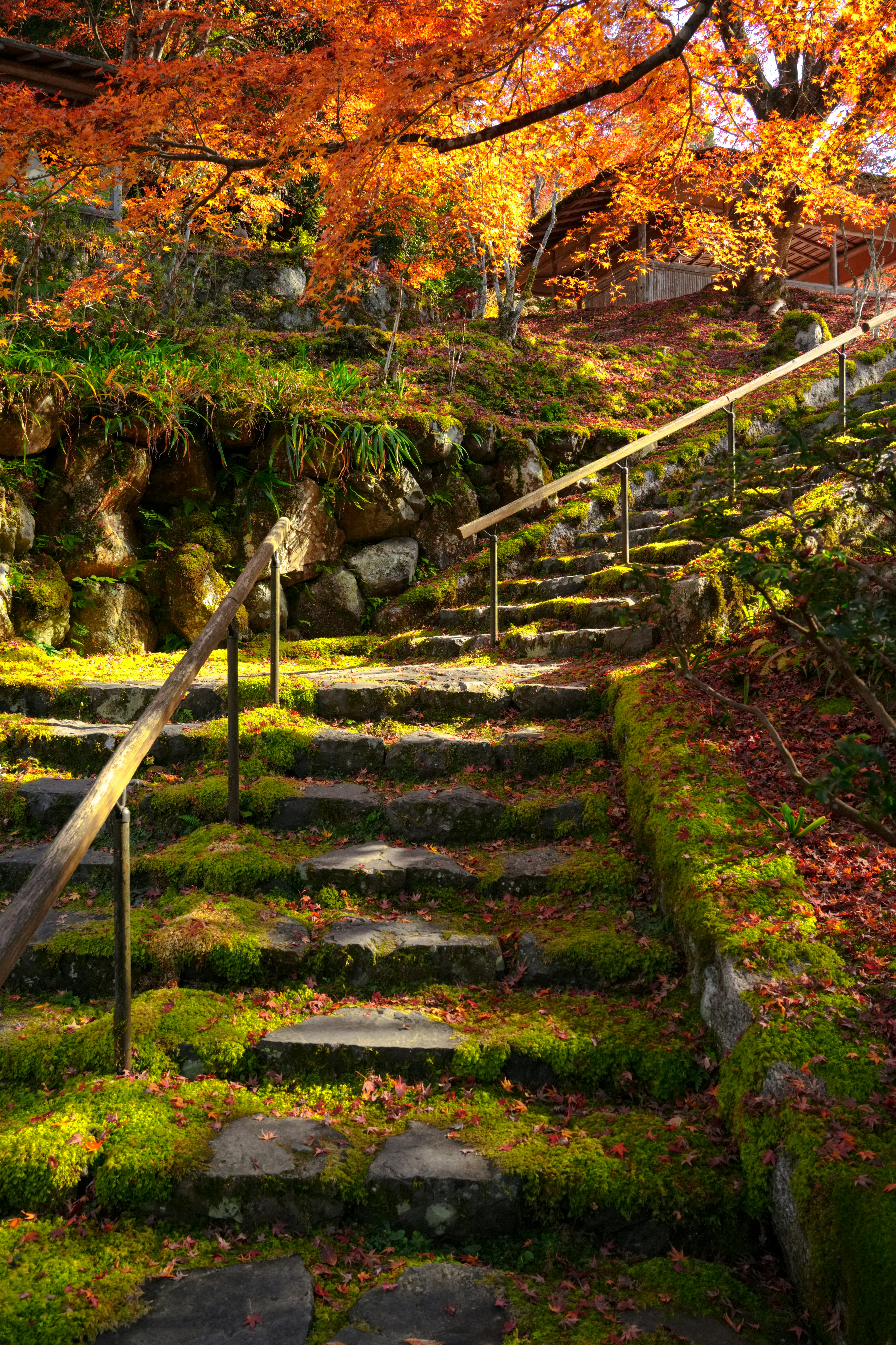 Photo by hattrick1996