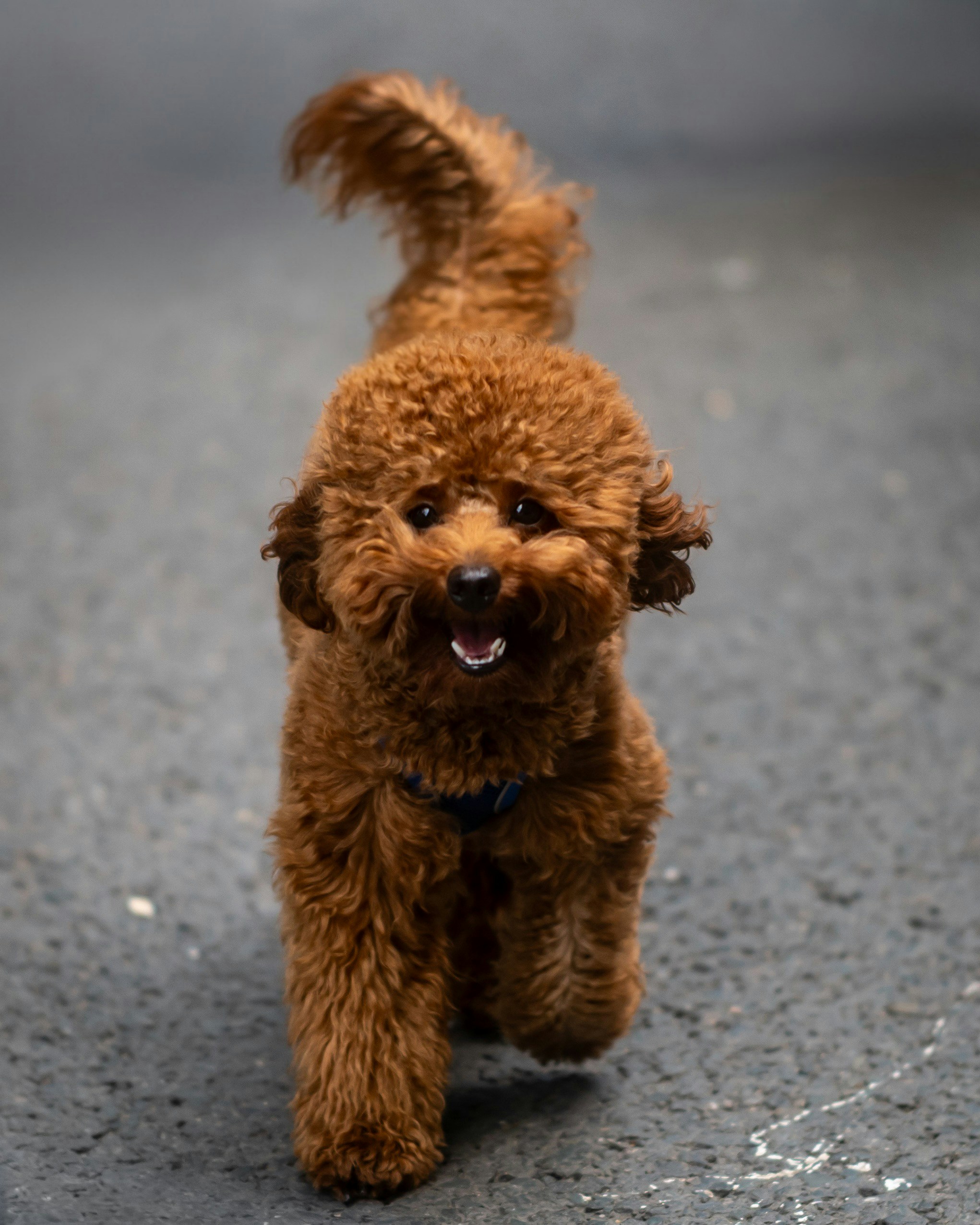 Photo by thewonderingvlad