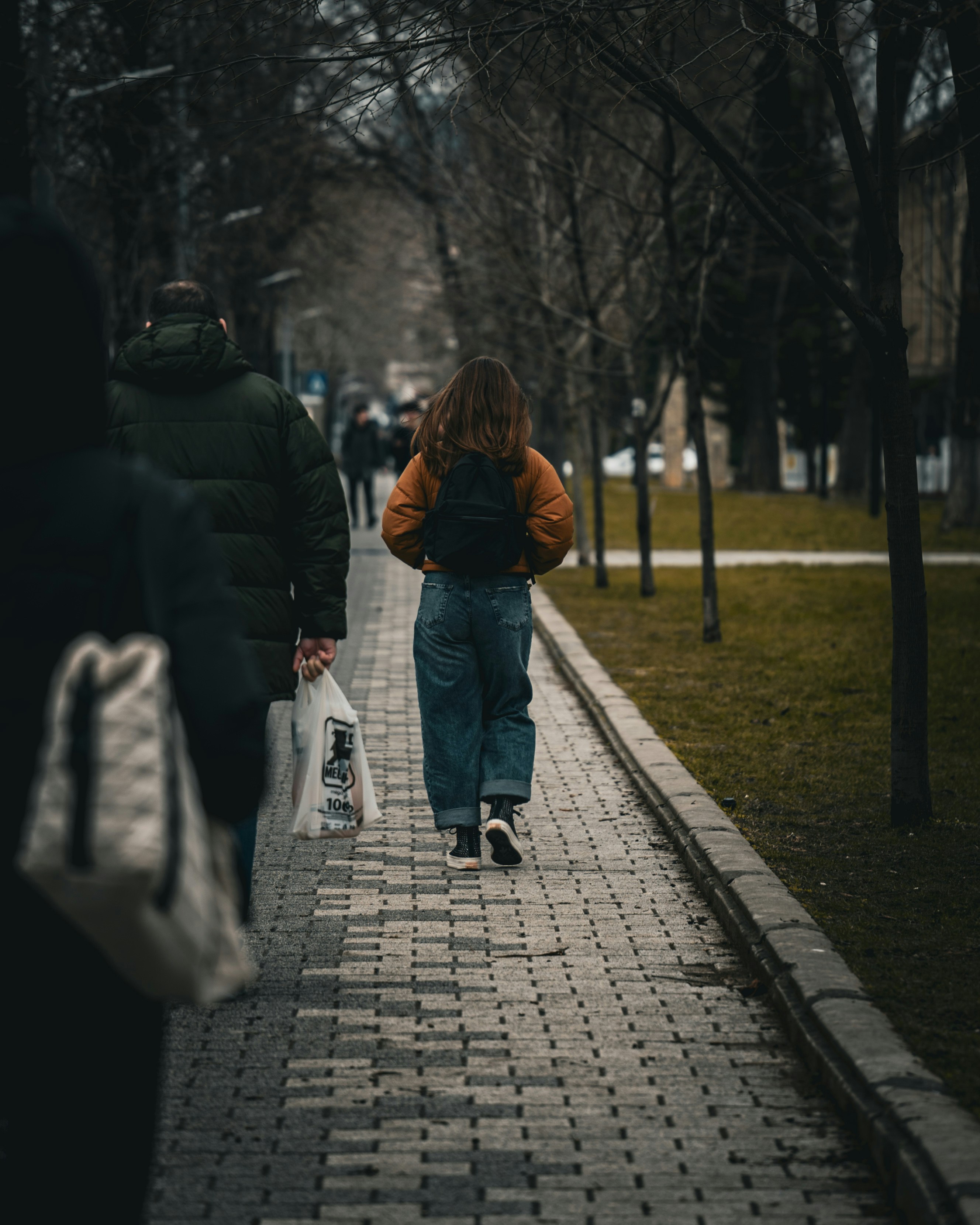 People walking on a paved path in a park