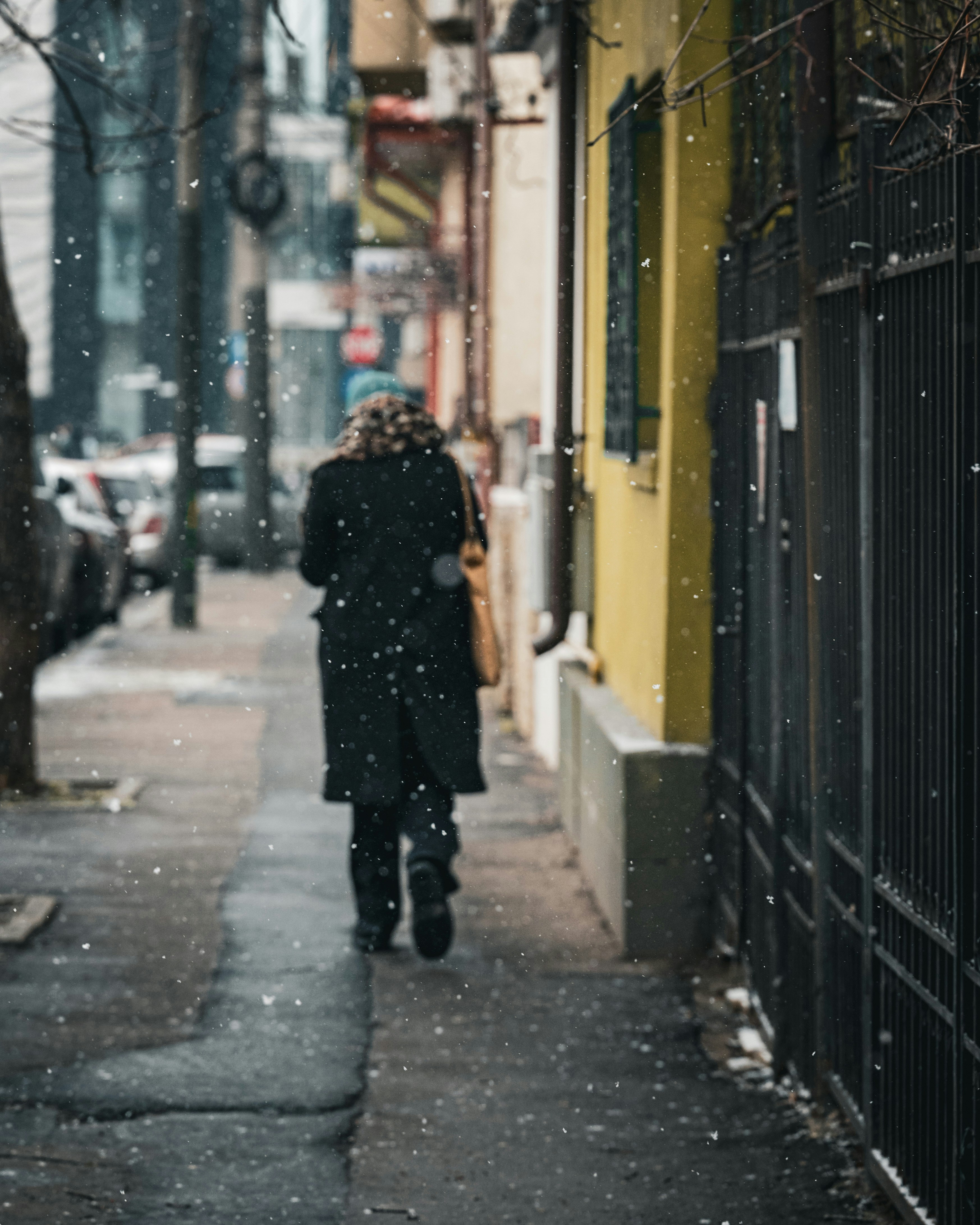 Photo by thewonderingvlad