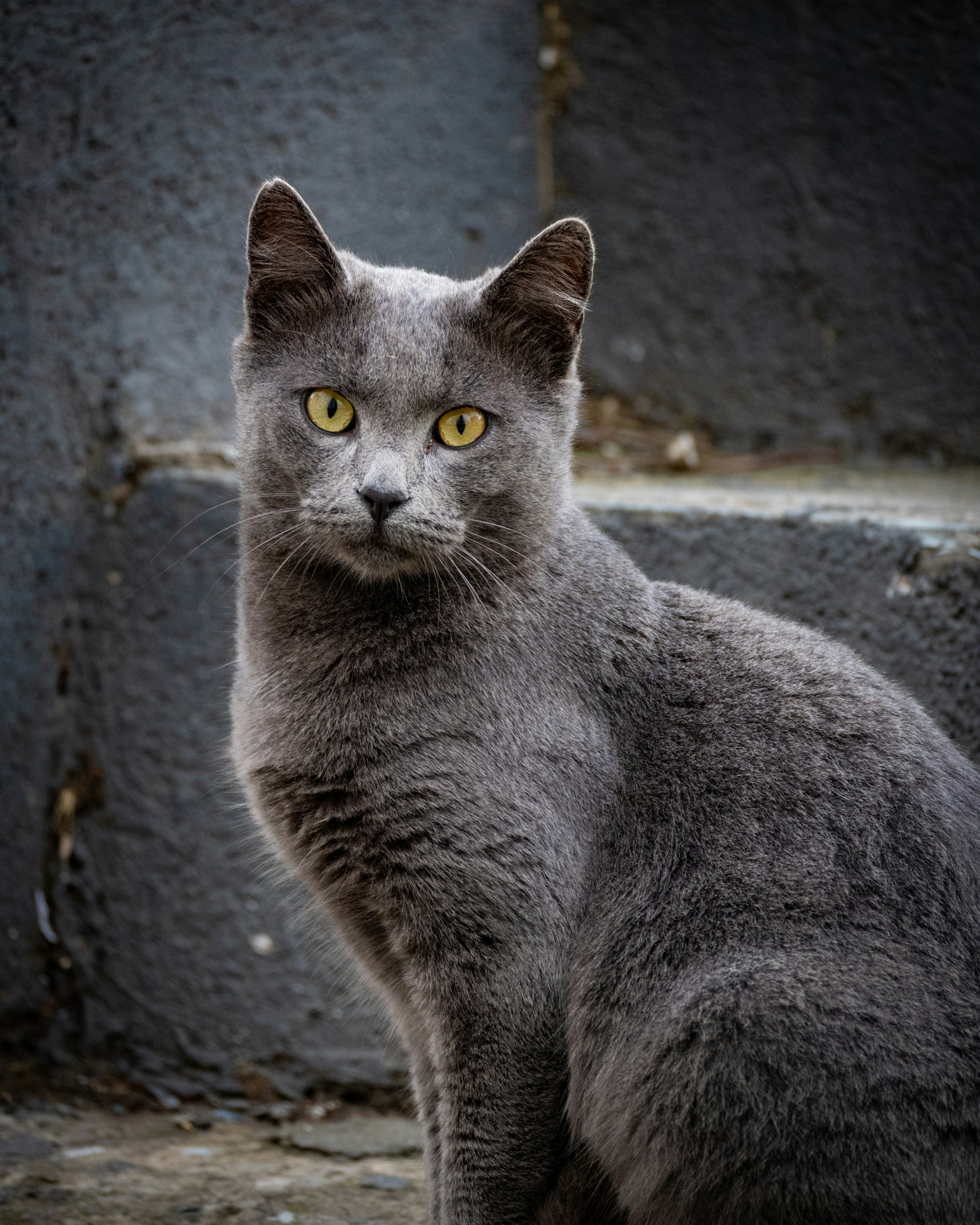 Photo by thewonderingvlad