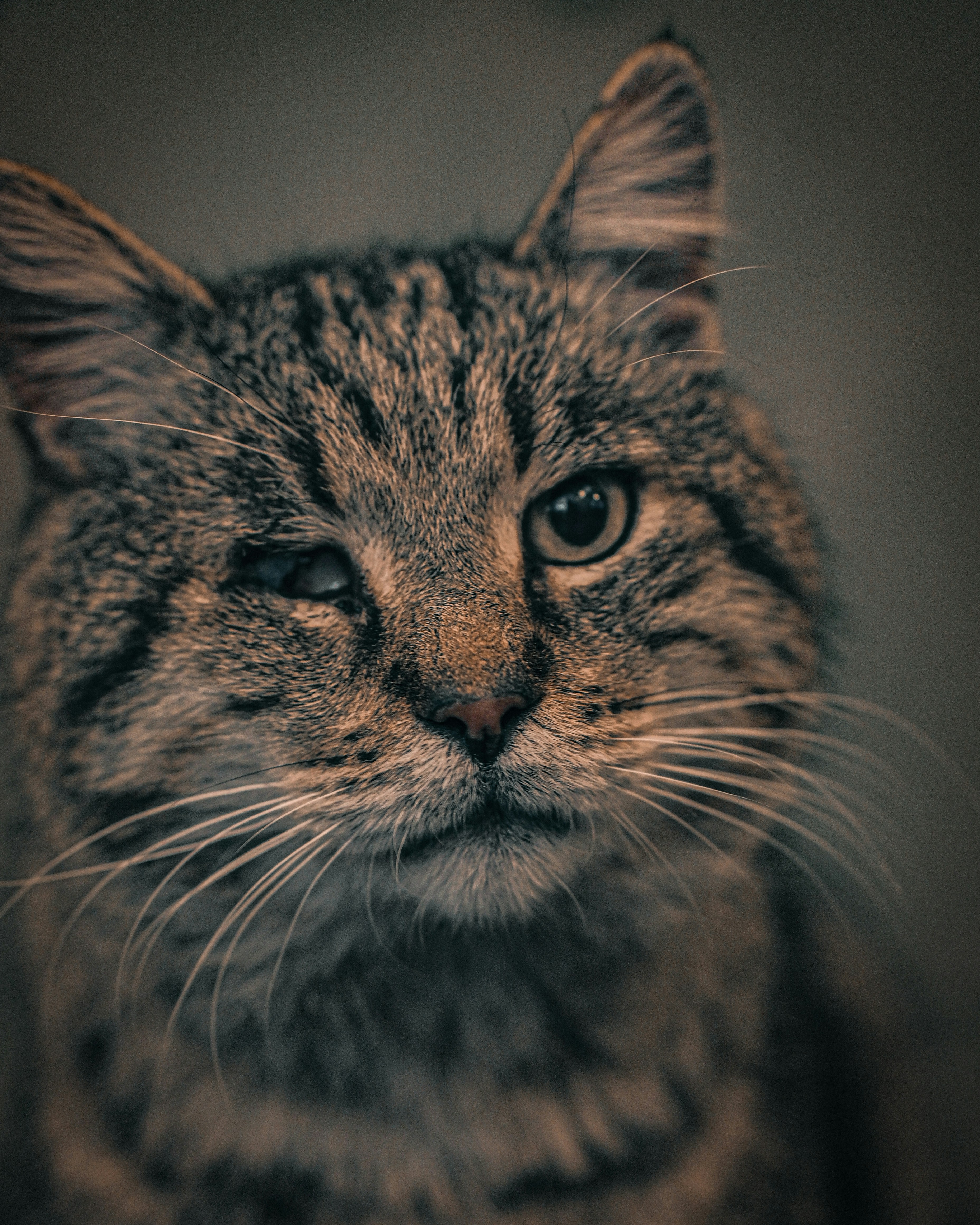 Photo by thewonderingvlad