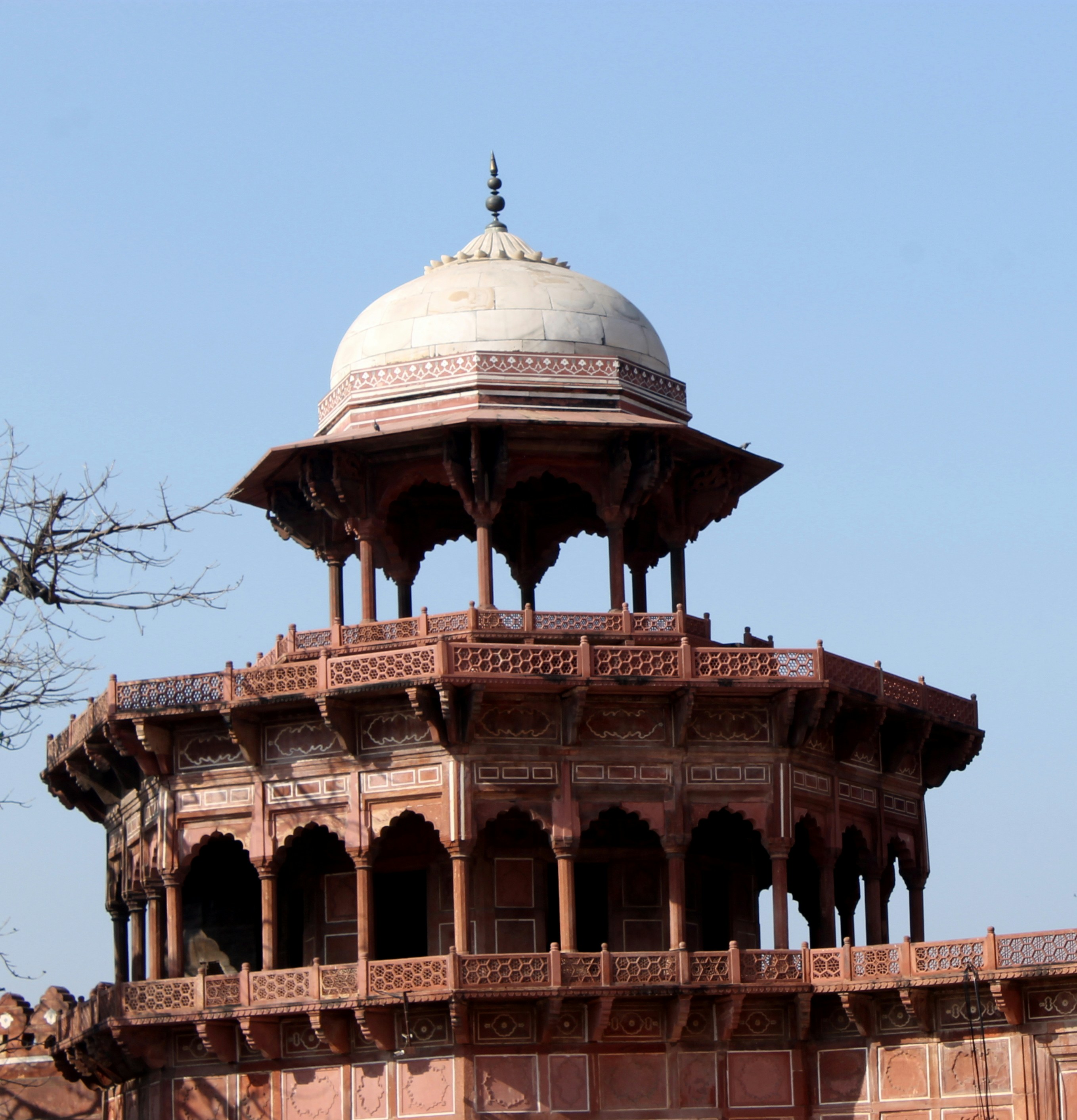 Photo by vijay_kumar_gaba