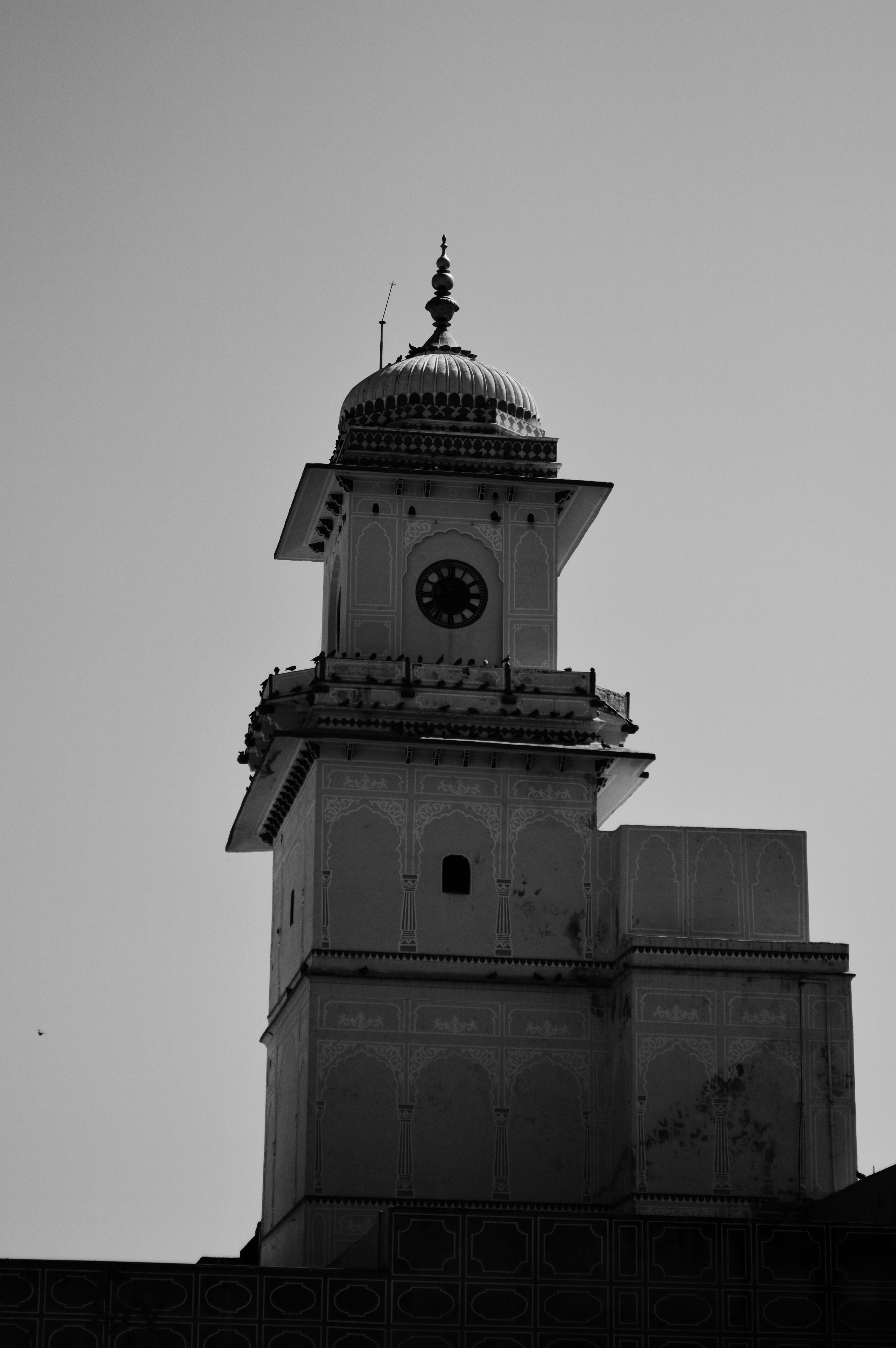 Photo by wrystraw112233