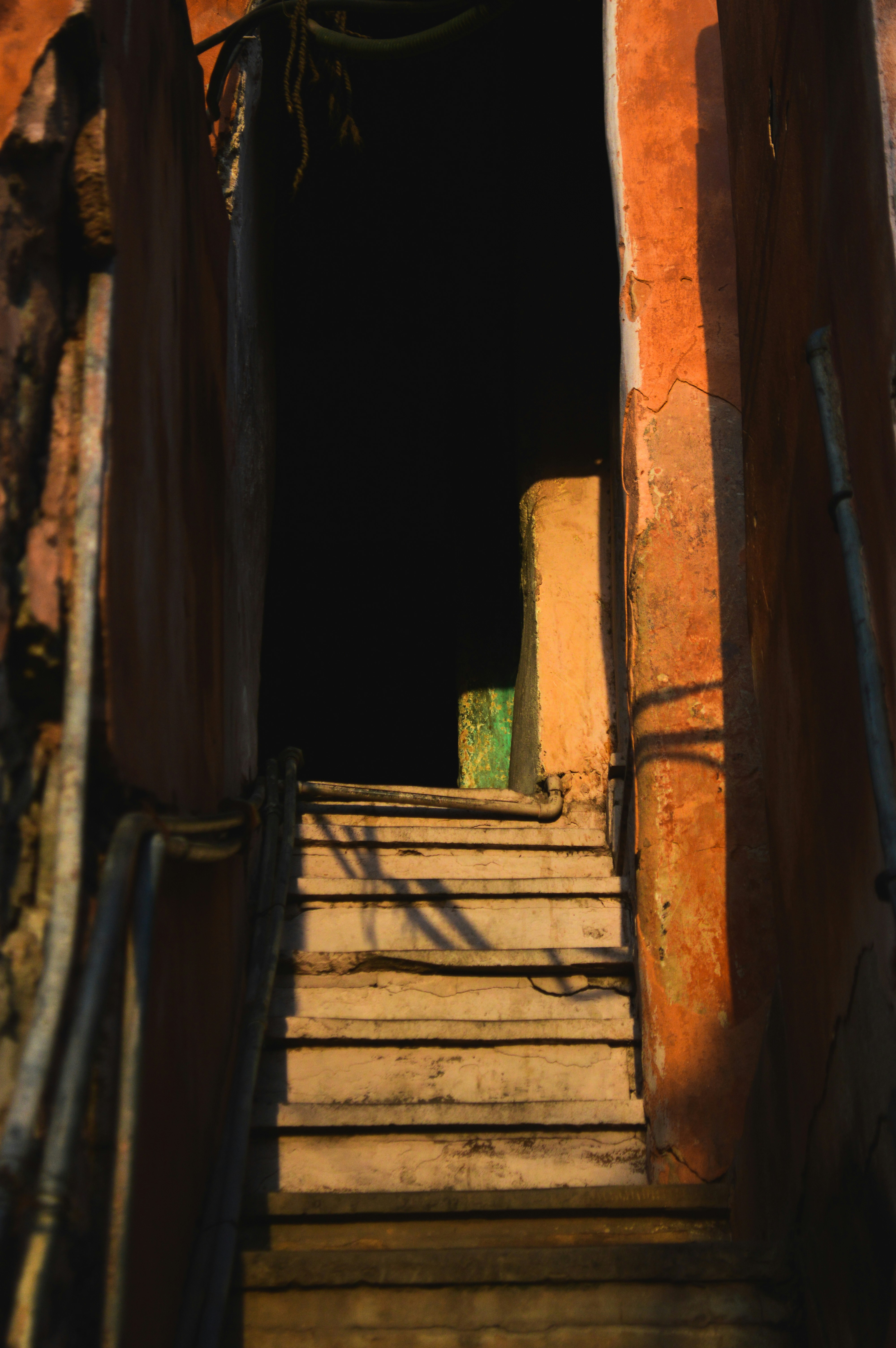 Photo by wrystraw112233