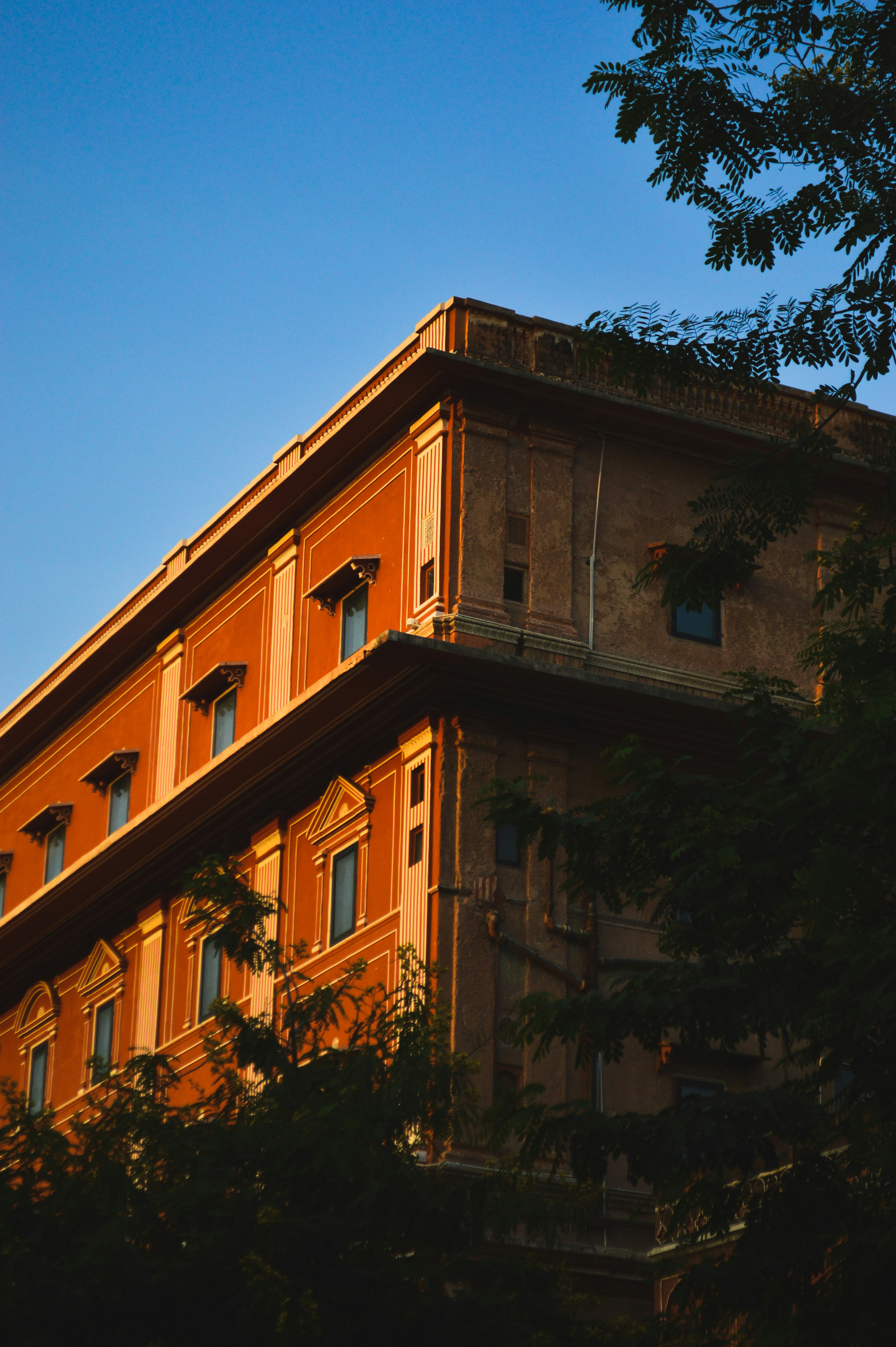 Photo by wrystraw112233