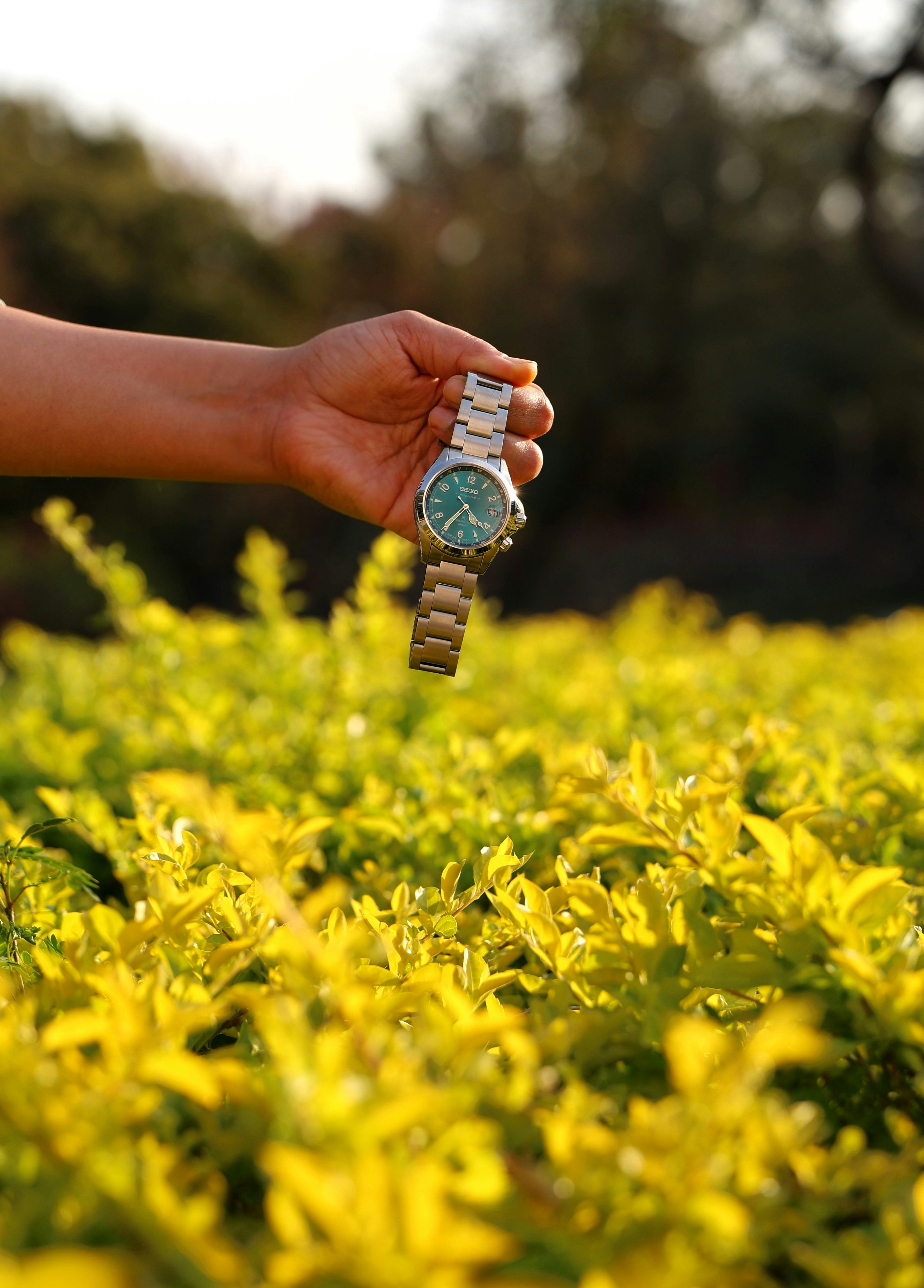 Mão segurando um relógio de rosto verde sobre arbustos amarelos
