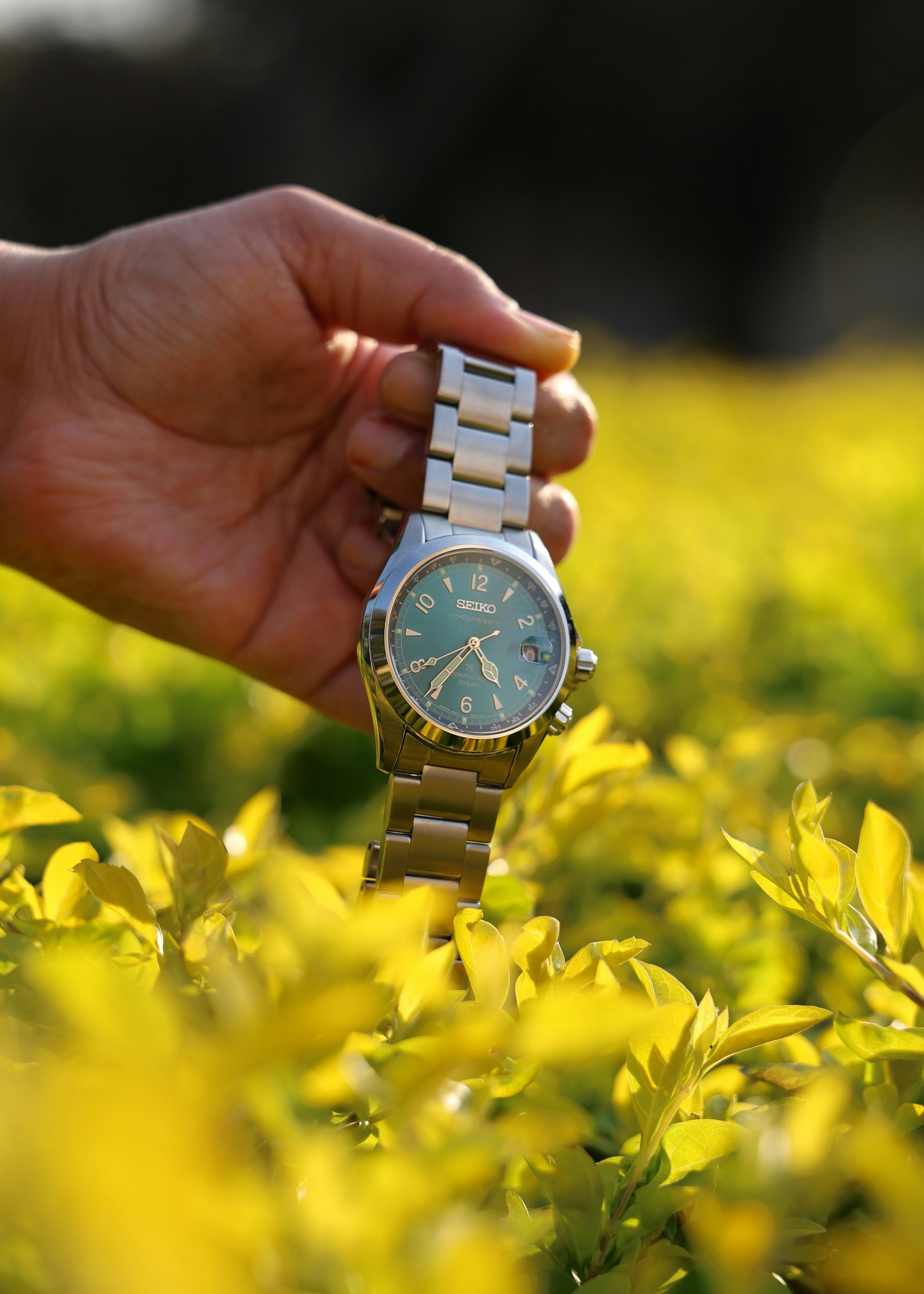 Um ponteiro segura um relógio prateado com mostrador verde.