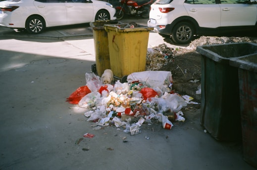 Trash overflowing from bins onto the pavement