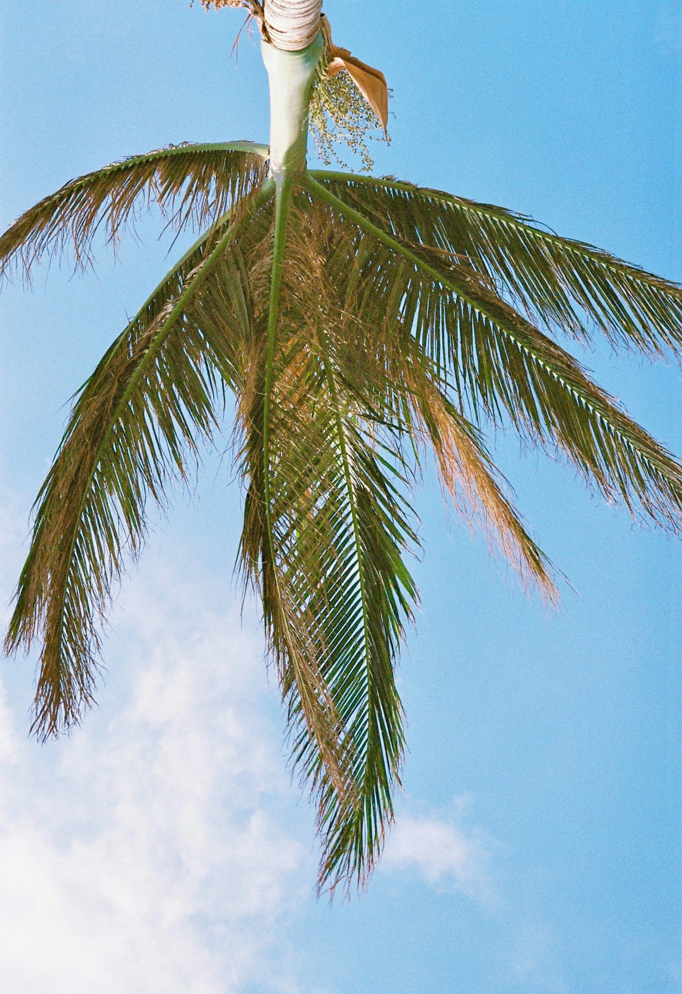 Photo by lwllwwlllwww