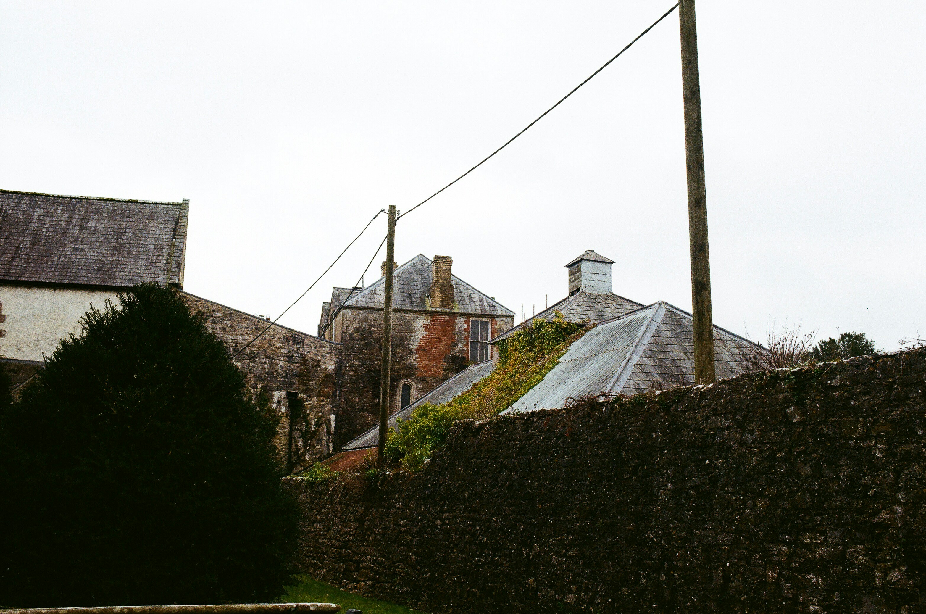 Photo by tanyabarrow