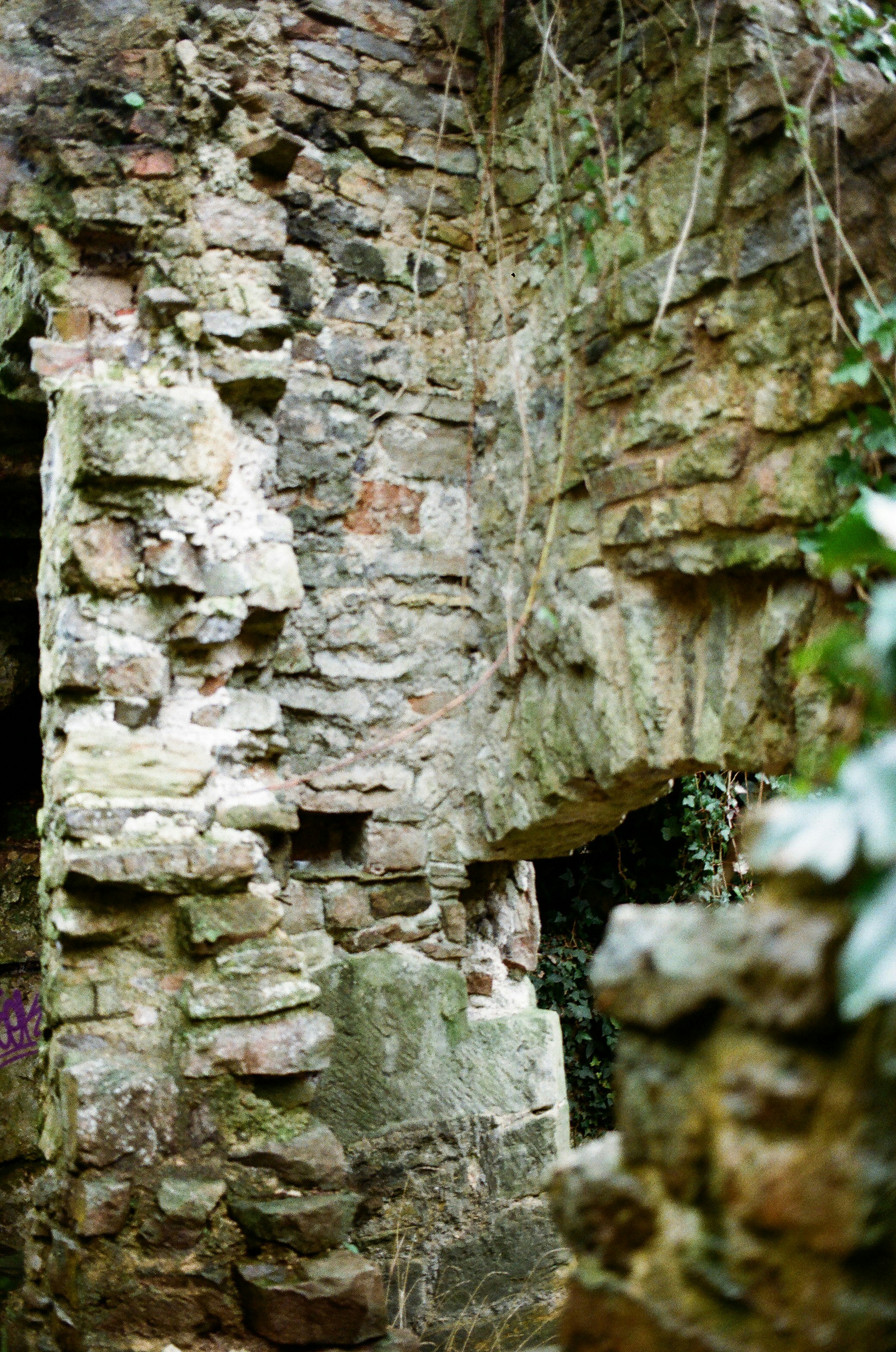 Photo by tanyabarrow