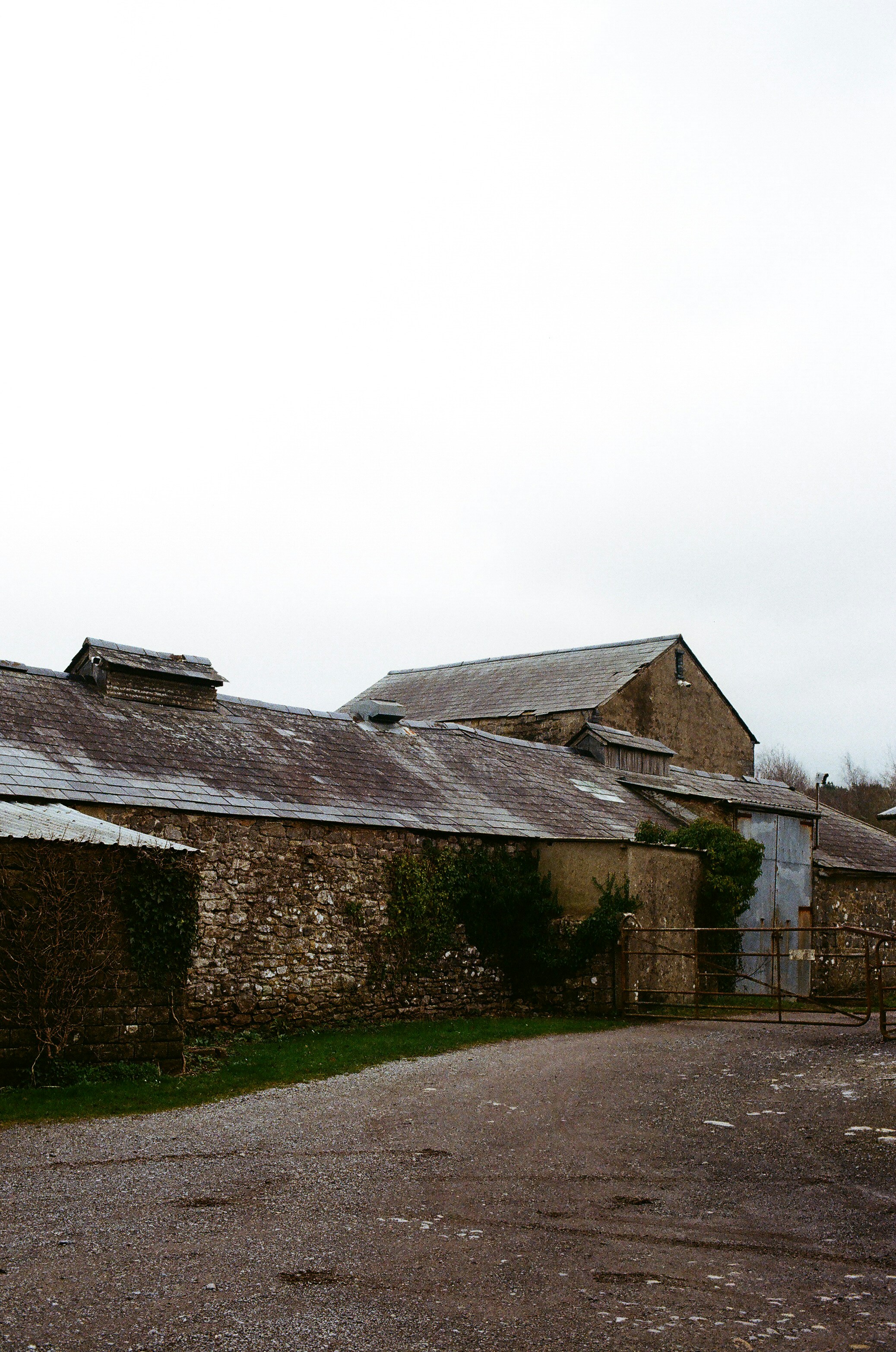 Photo by tanyabarrow