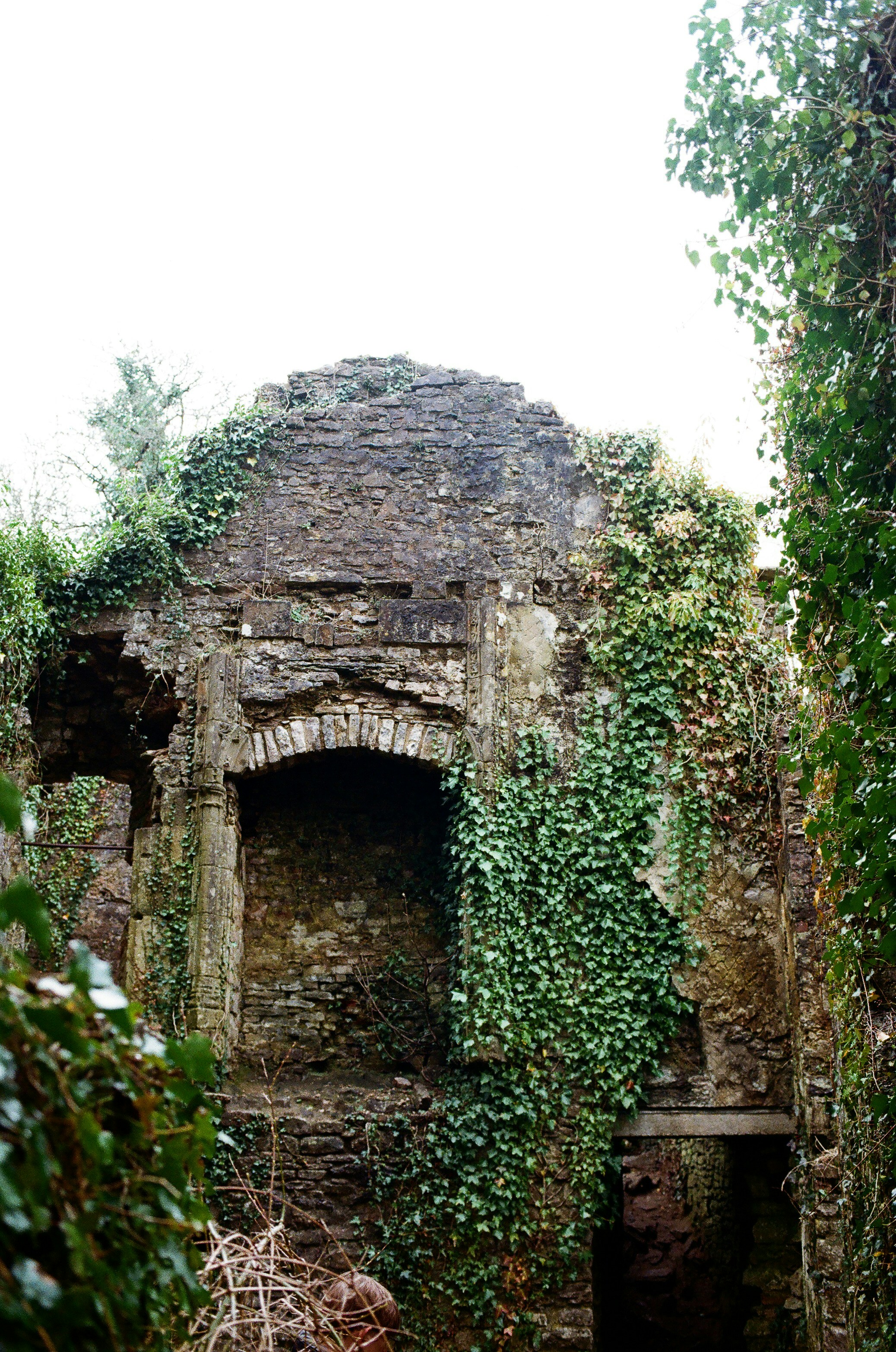 Photo by tanyabarrow