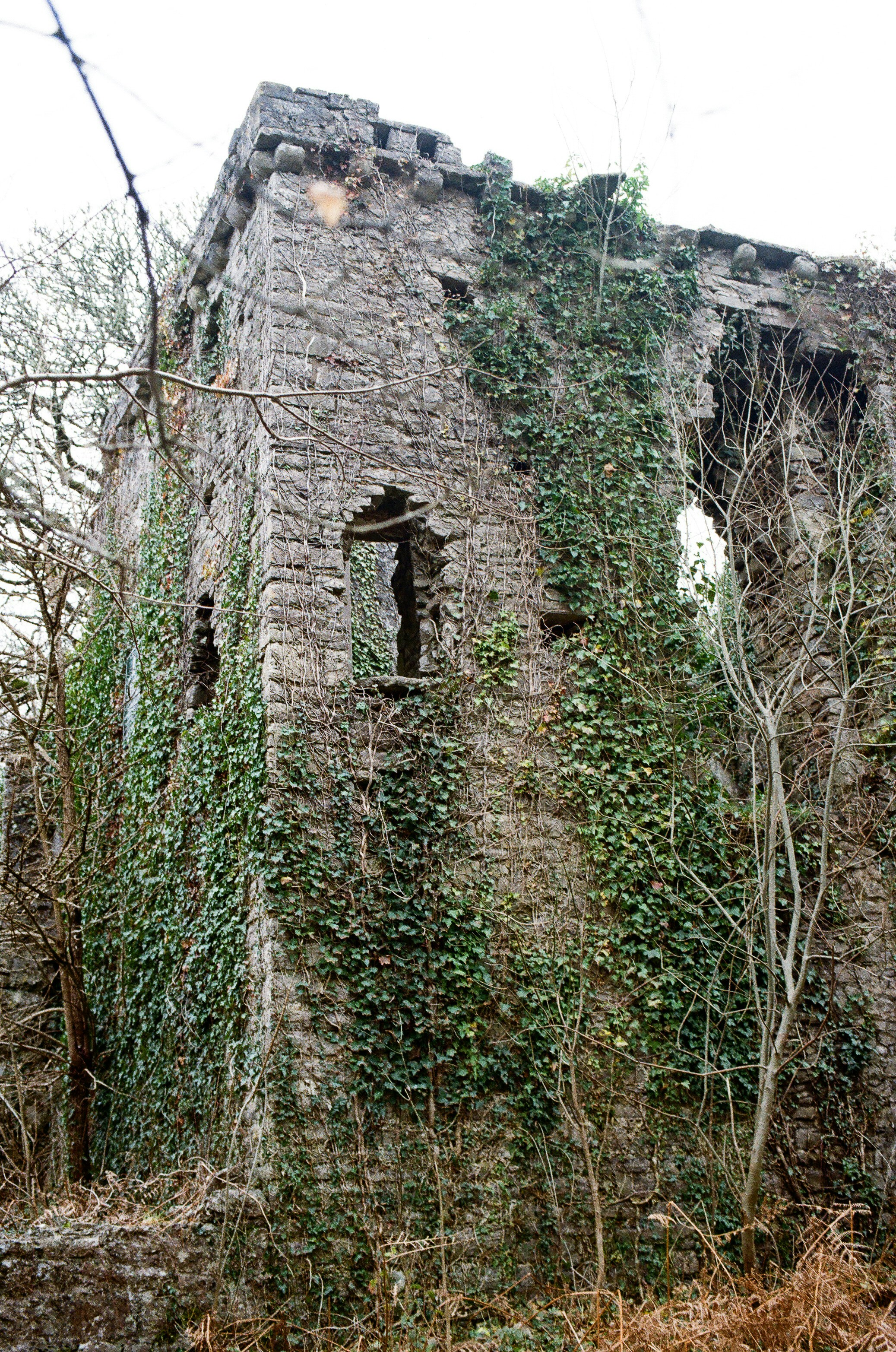 Photo by tanyabarrow