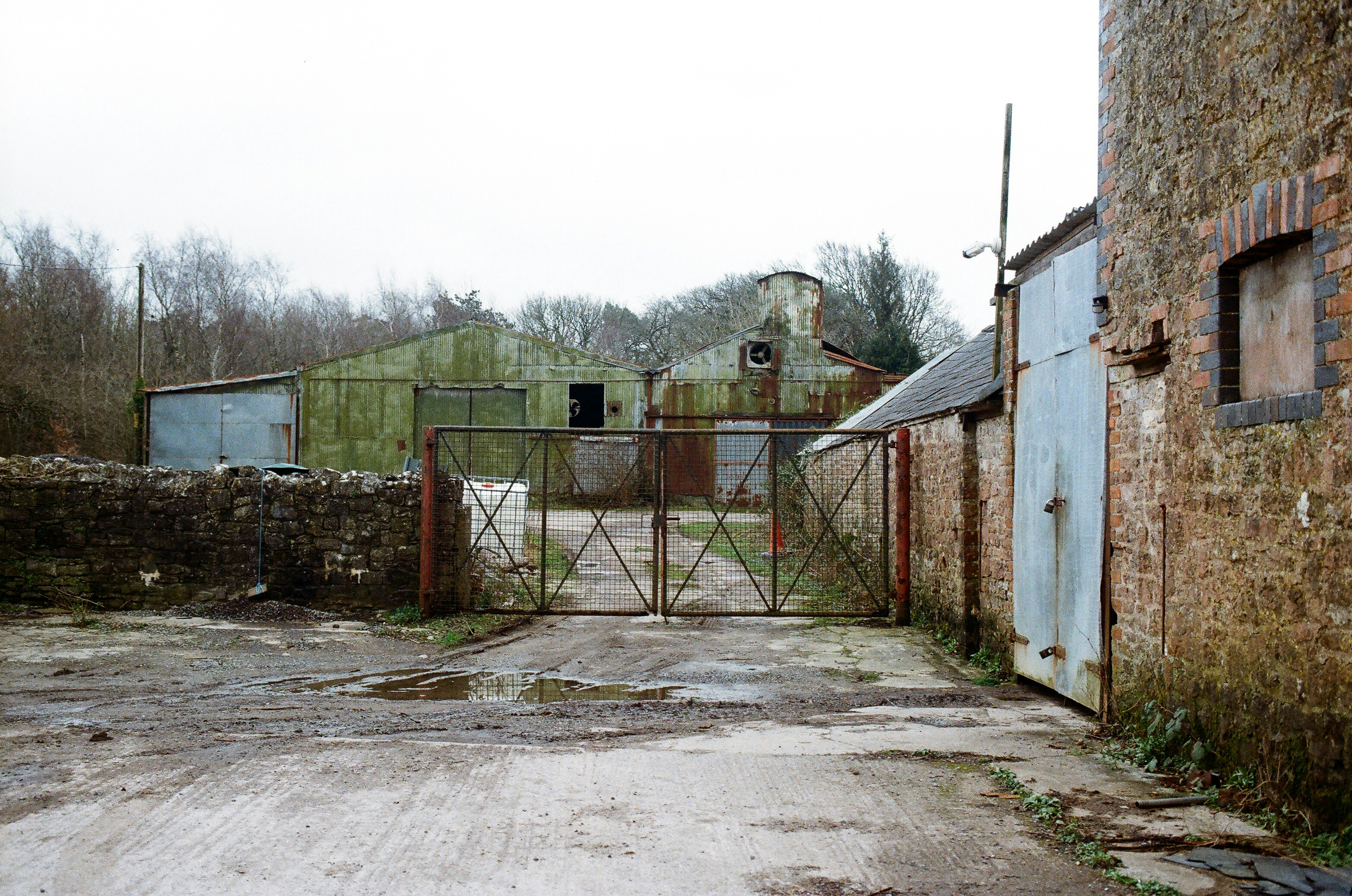 Photo by tanyabarrow