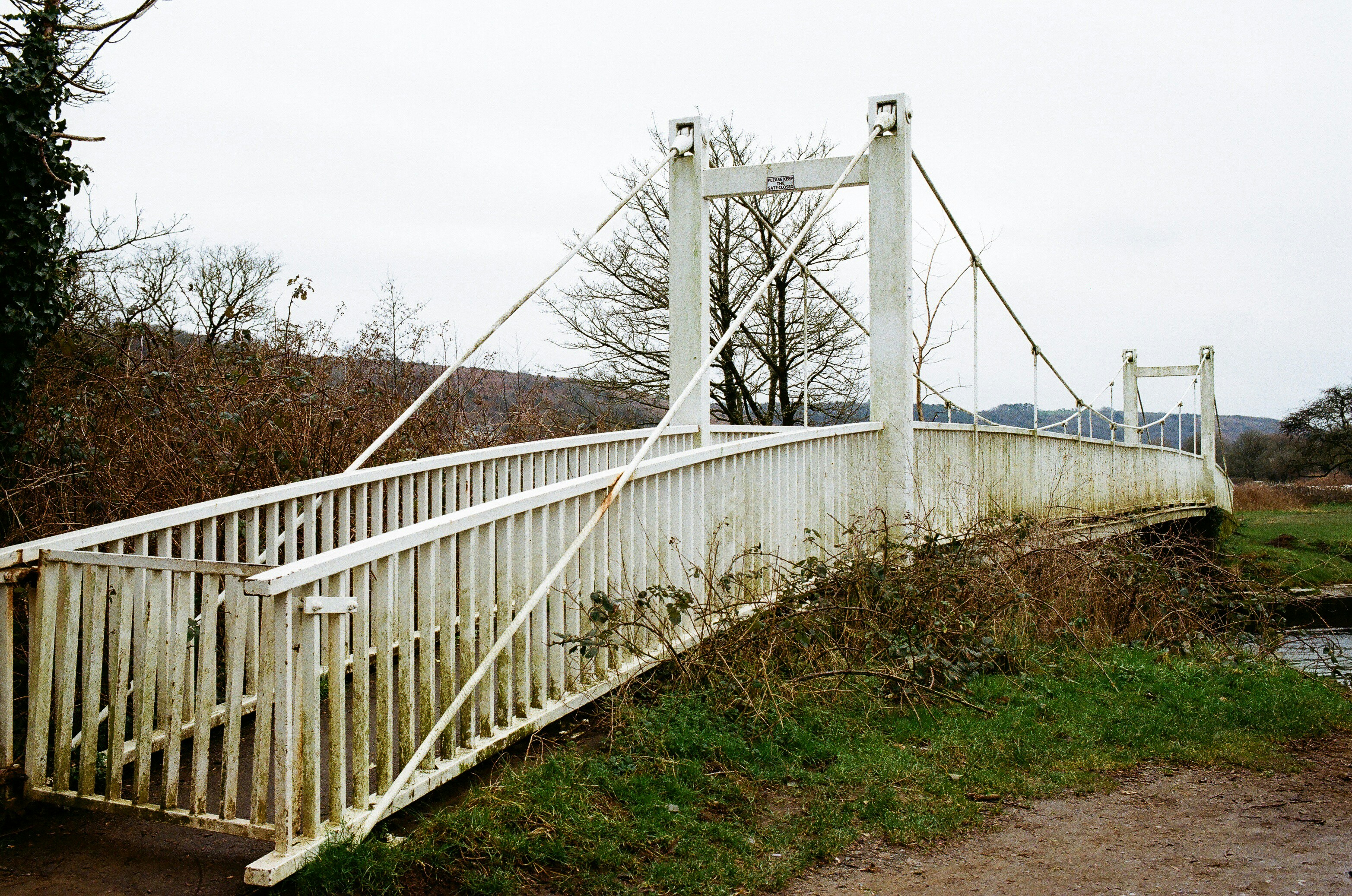 Photo by tanyabarrow