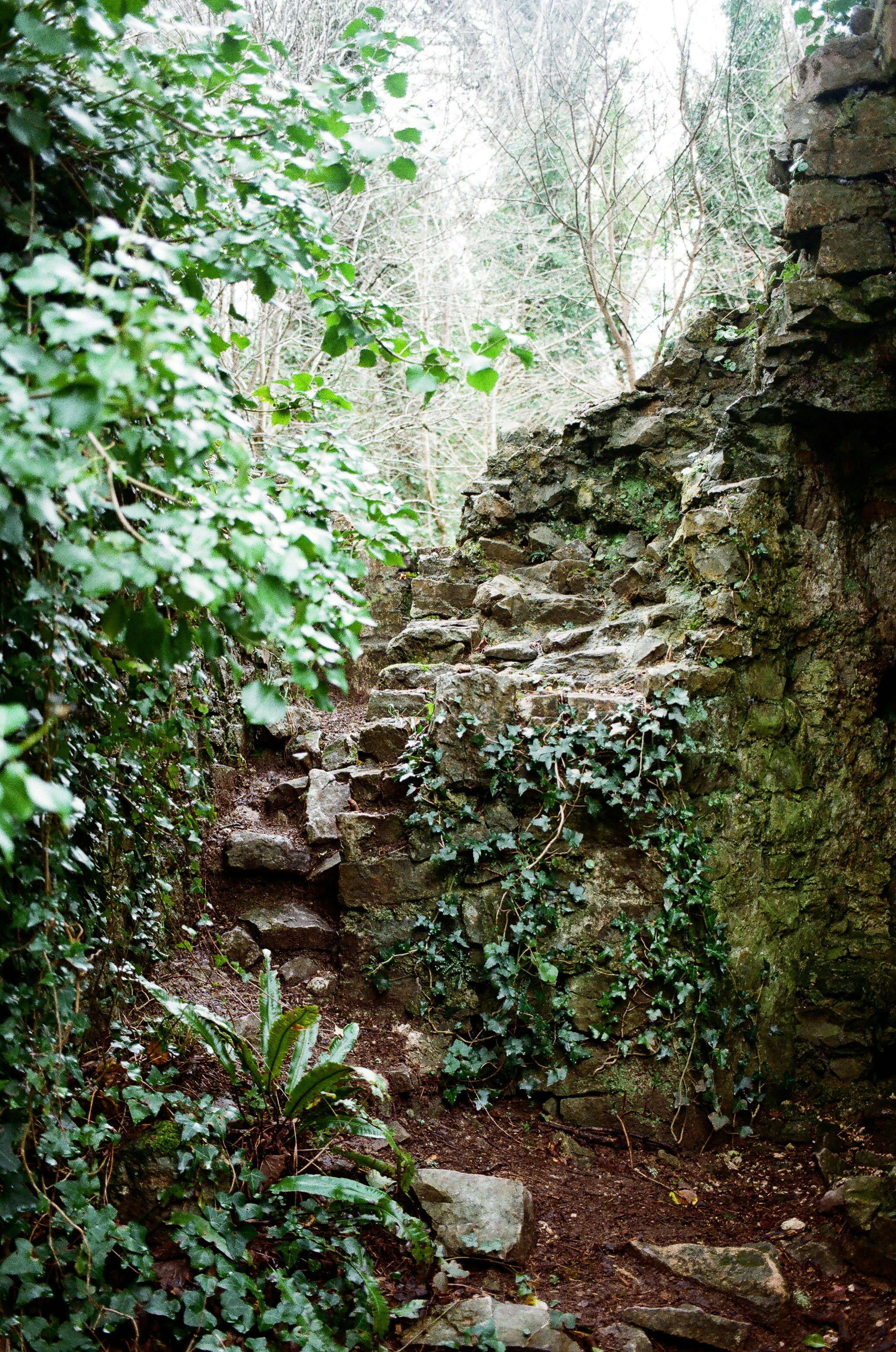 Photo by tanyabarrow