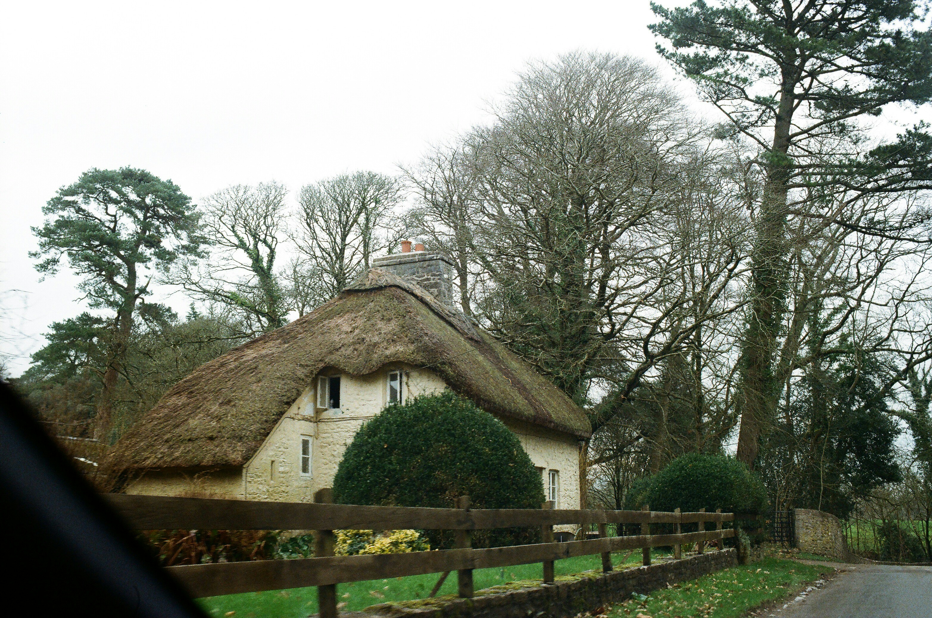 Photo by tanyabarrow