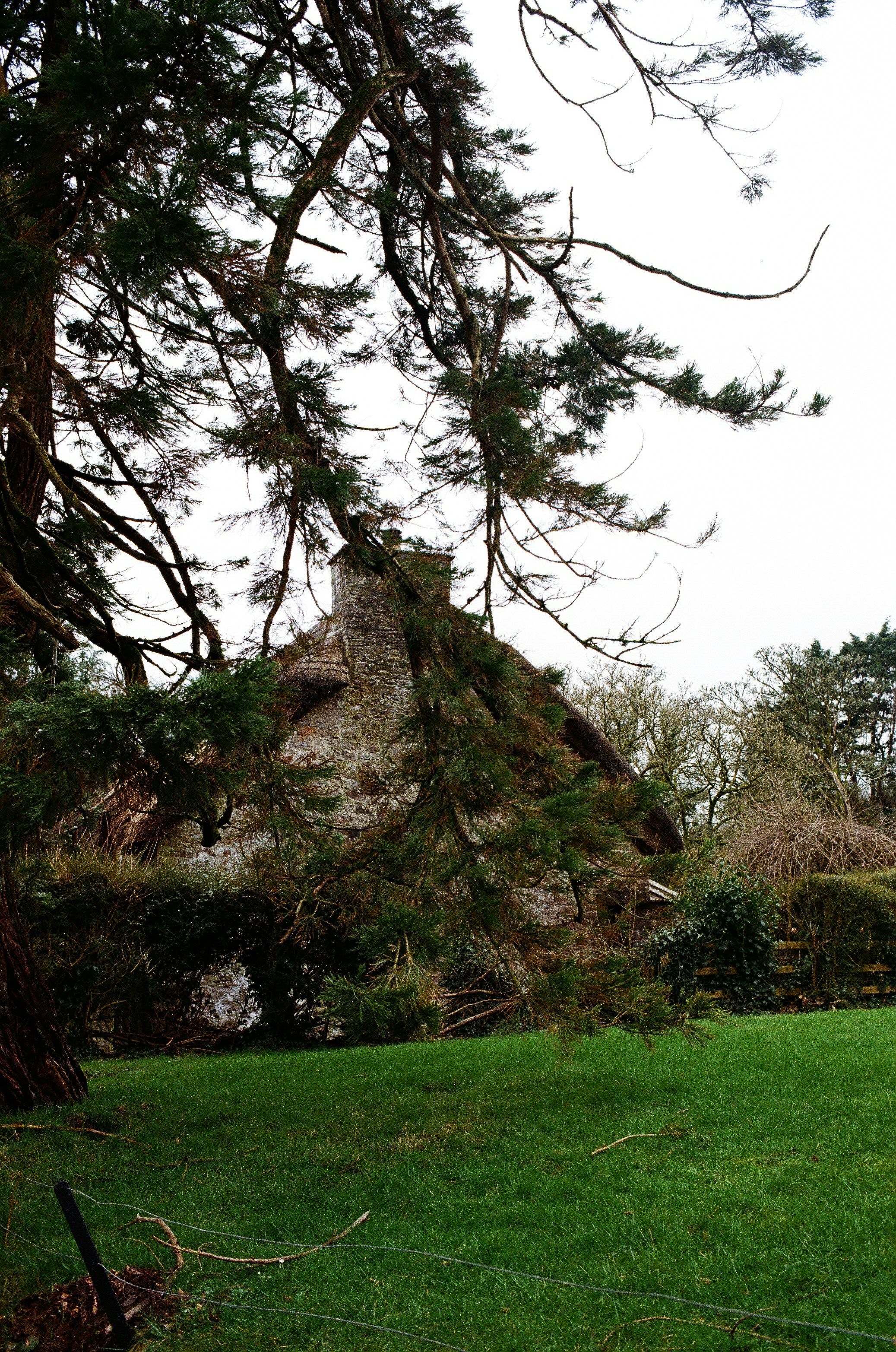 Thatched roof cottage with stone chimney behind trees