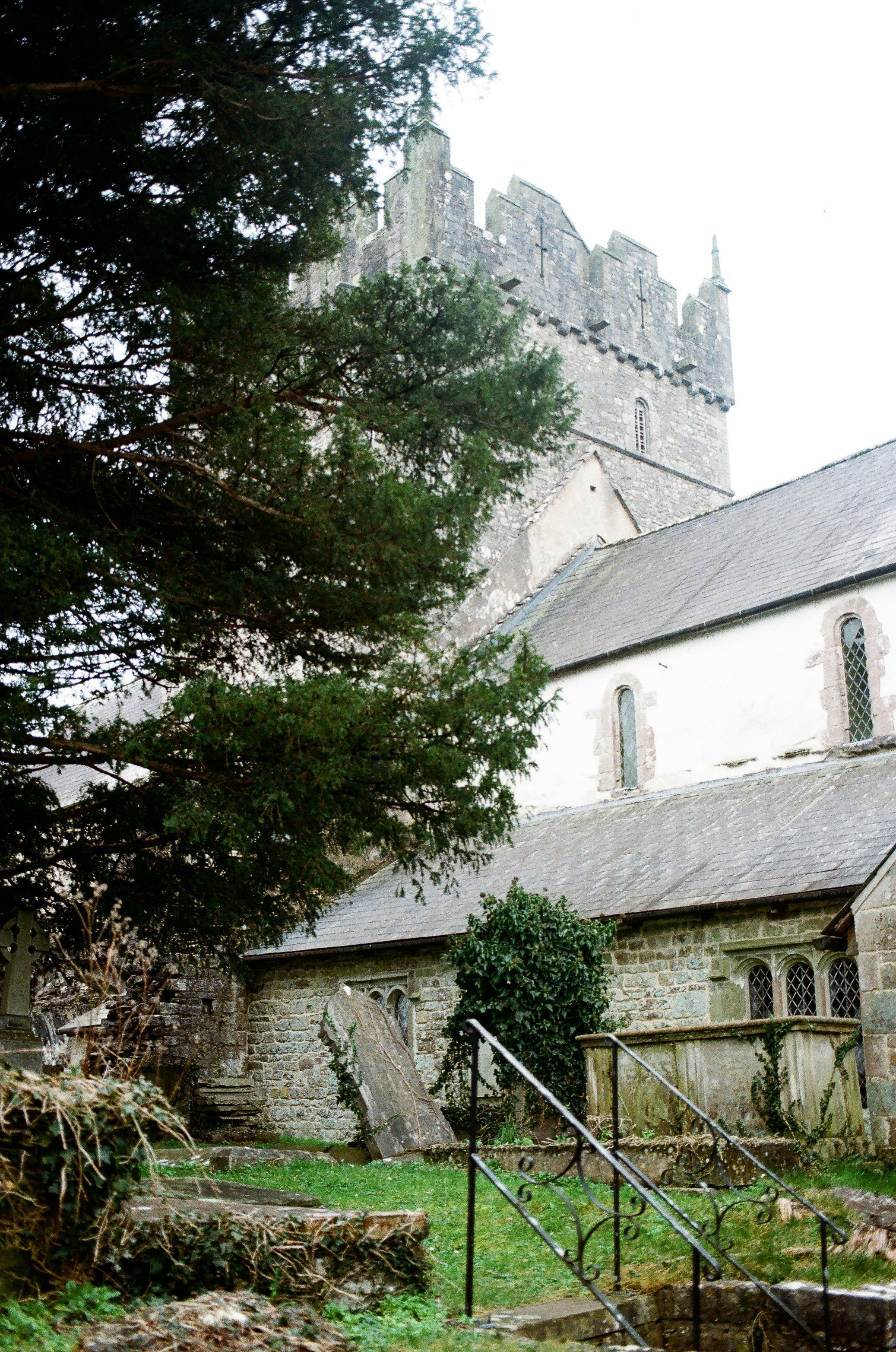 Photo by tanyabarrow