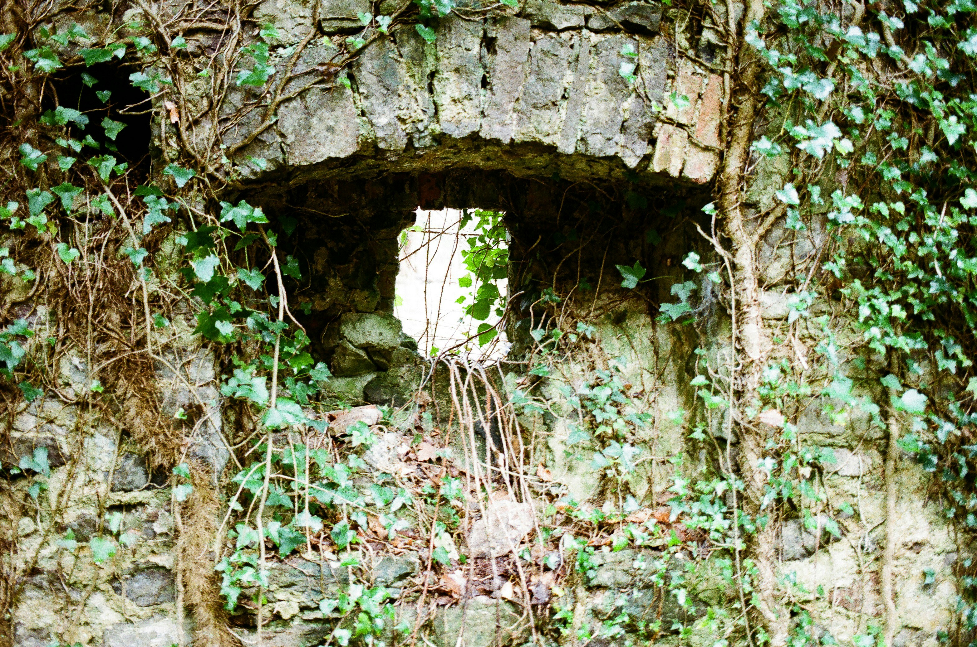 Photo by tanyabarrow