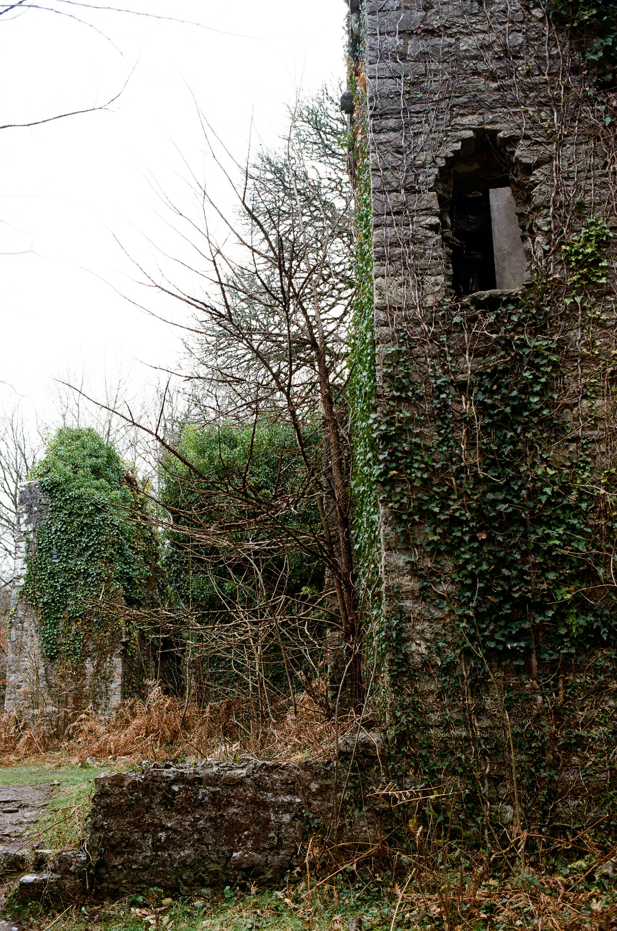 Photo by tanyabarrow