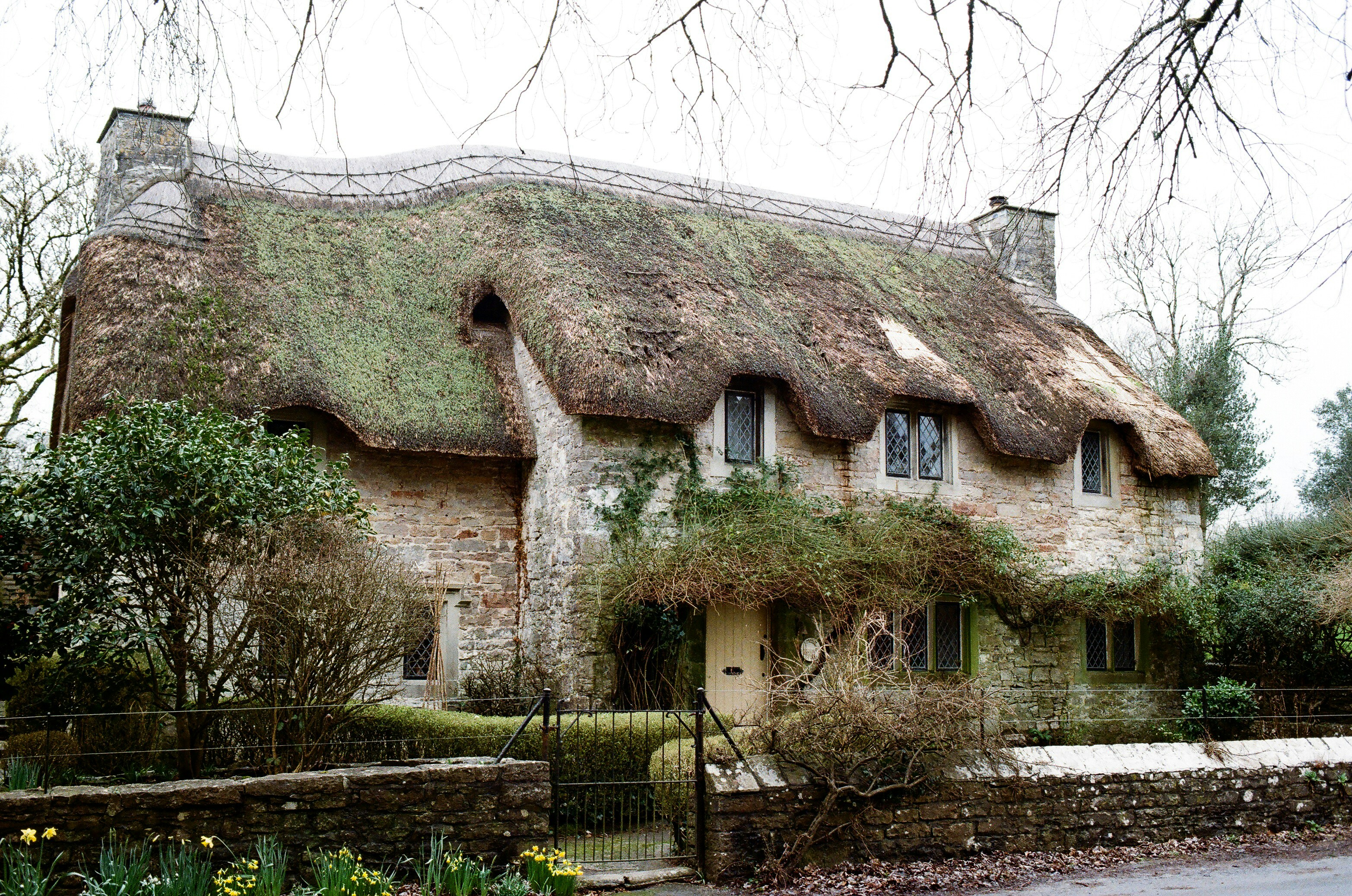 Photo by tanyabarrow