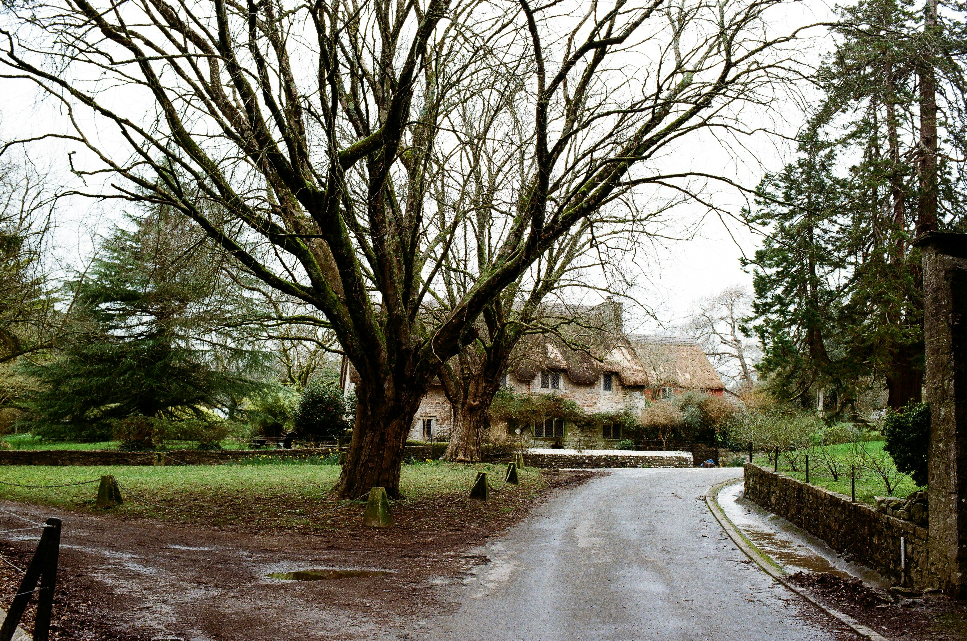 Photo by tanyabarrow