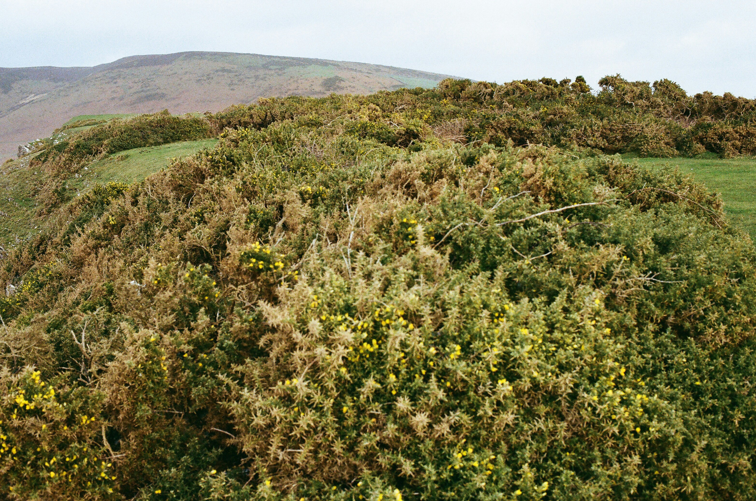 Photo by tanyabarrow